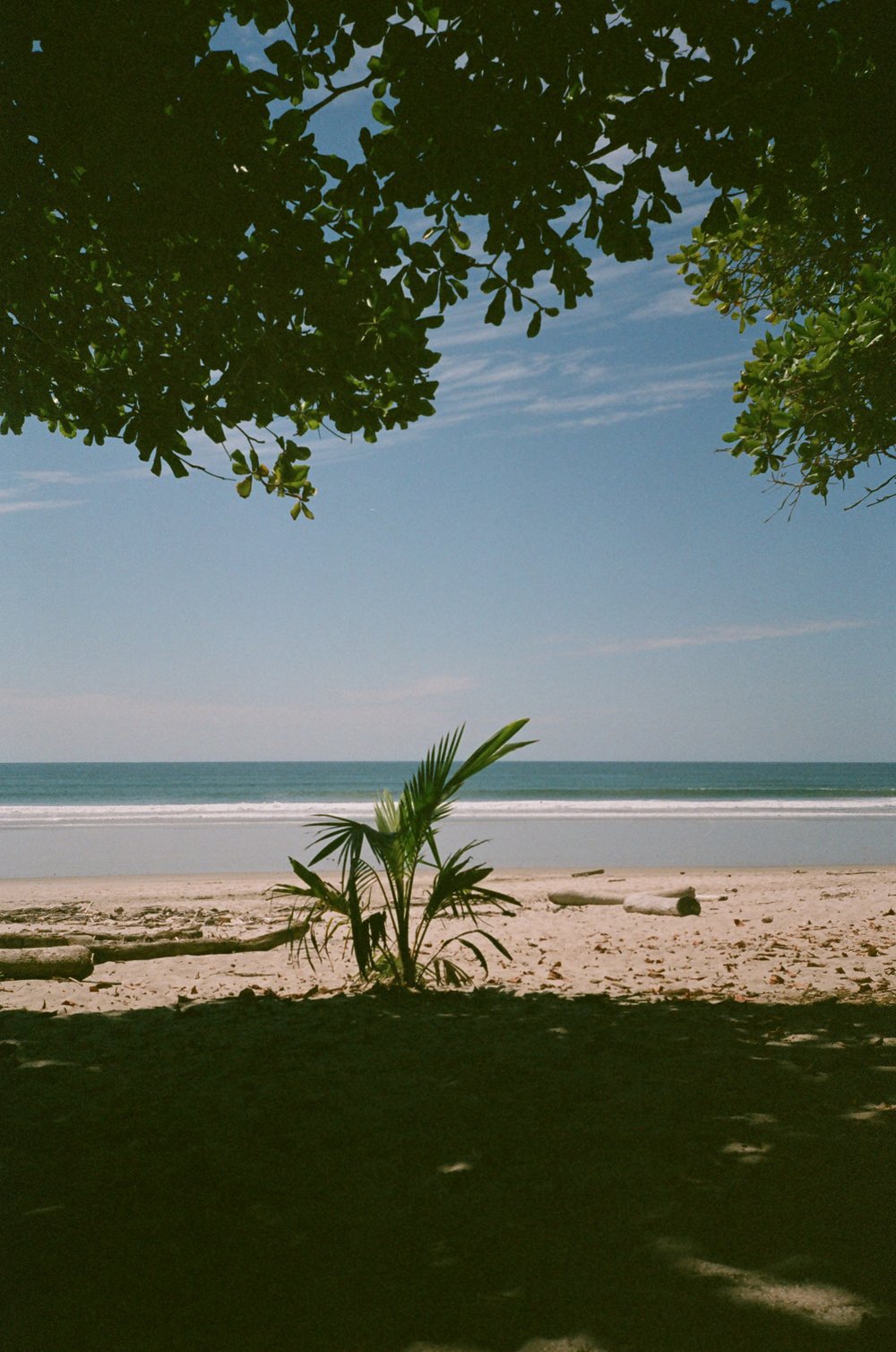 costa-rica-surfing-beach-surf-film-diaries-000975620007.jpg