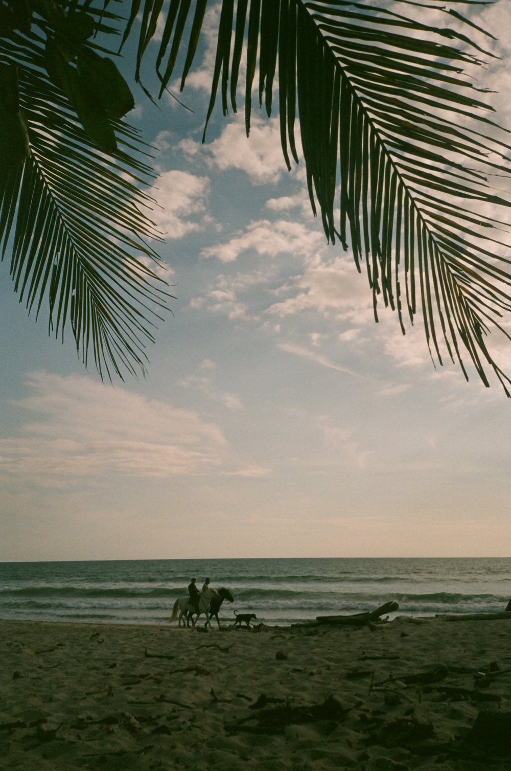 costa-rica-surfing-beach-surf-film-diaries-000975670033.jpg