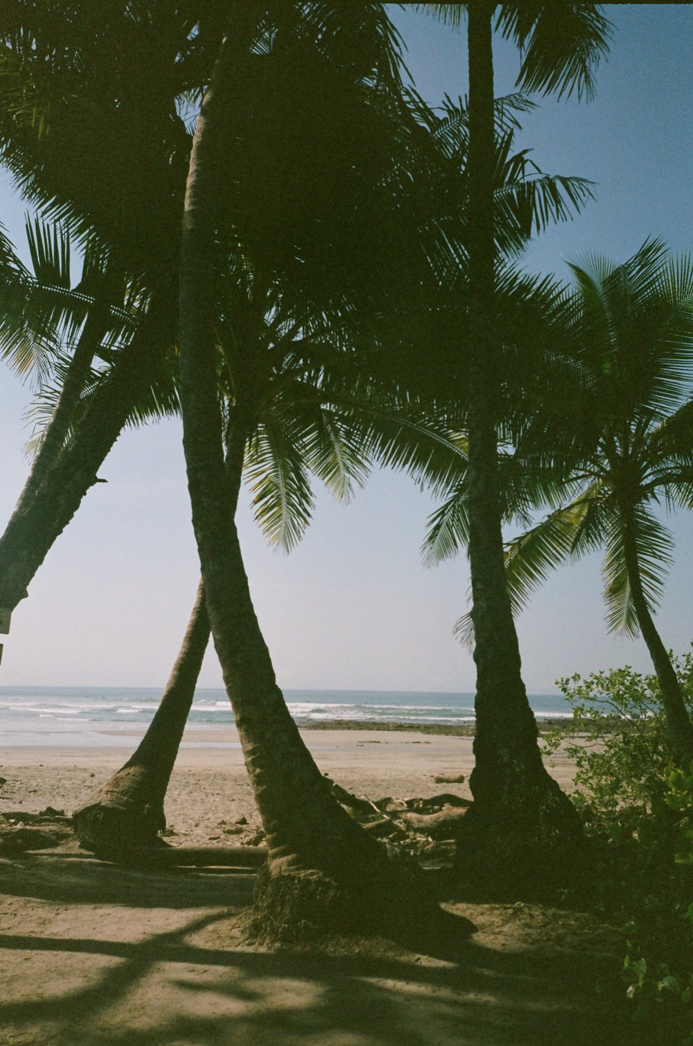 costa-rica-surfing-beach-surf-film-diaries-000975920035.jpg