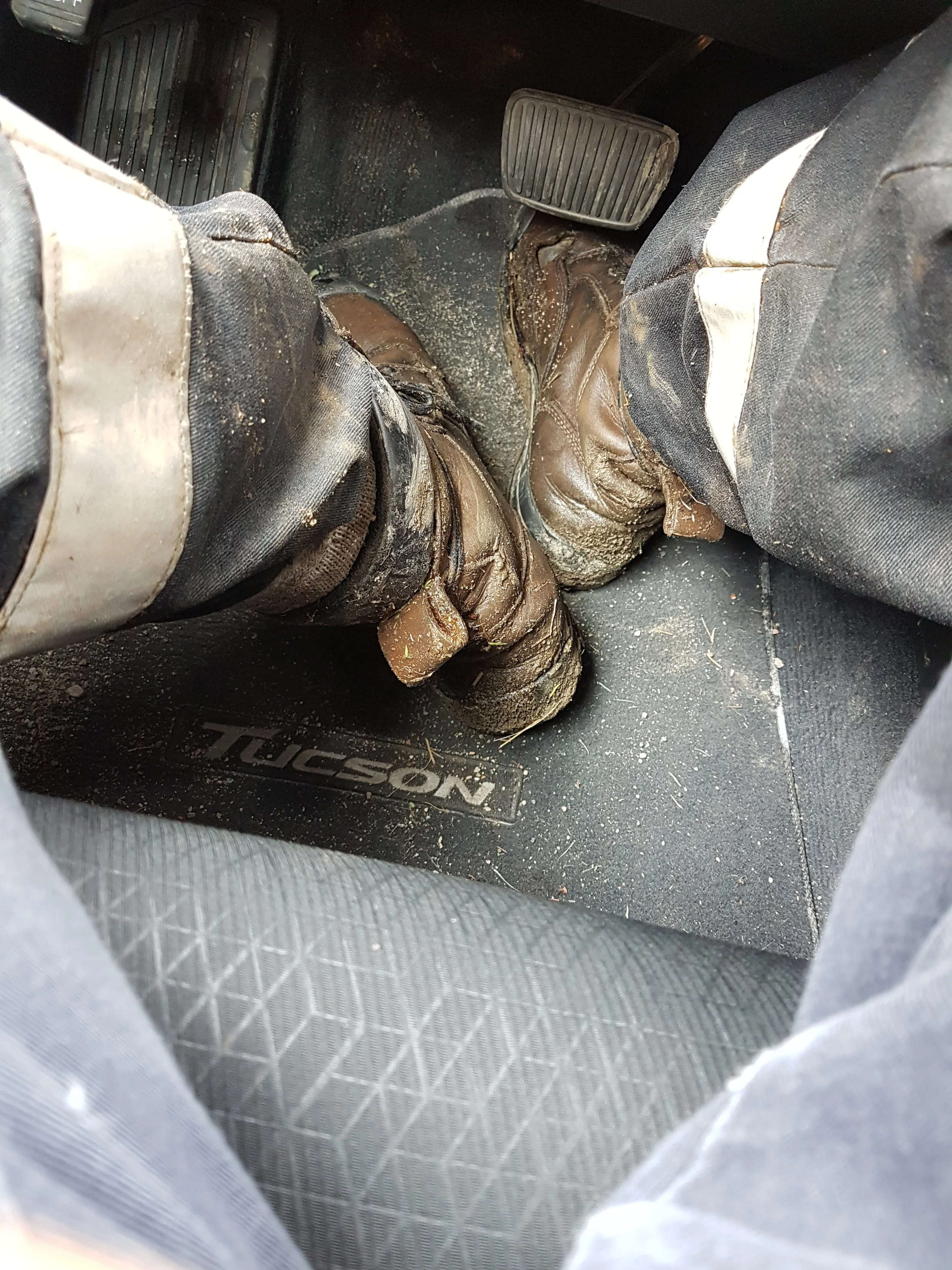 I hope you like wet socks. 