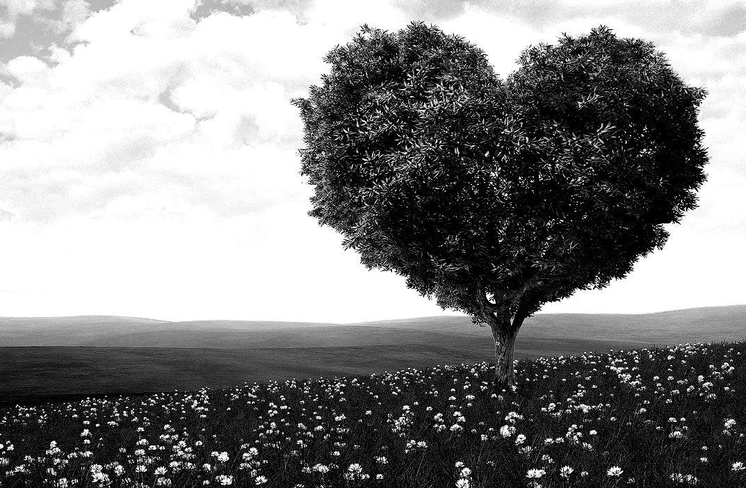 Click to learn more.