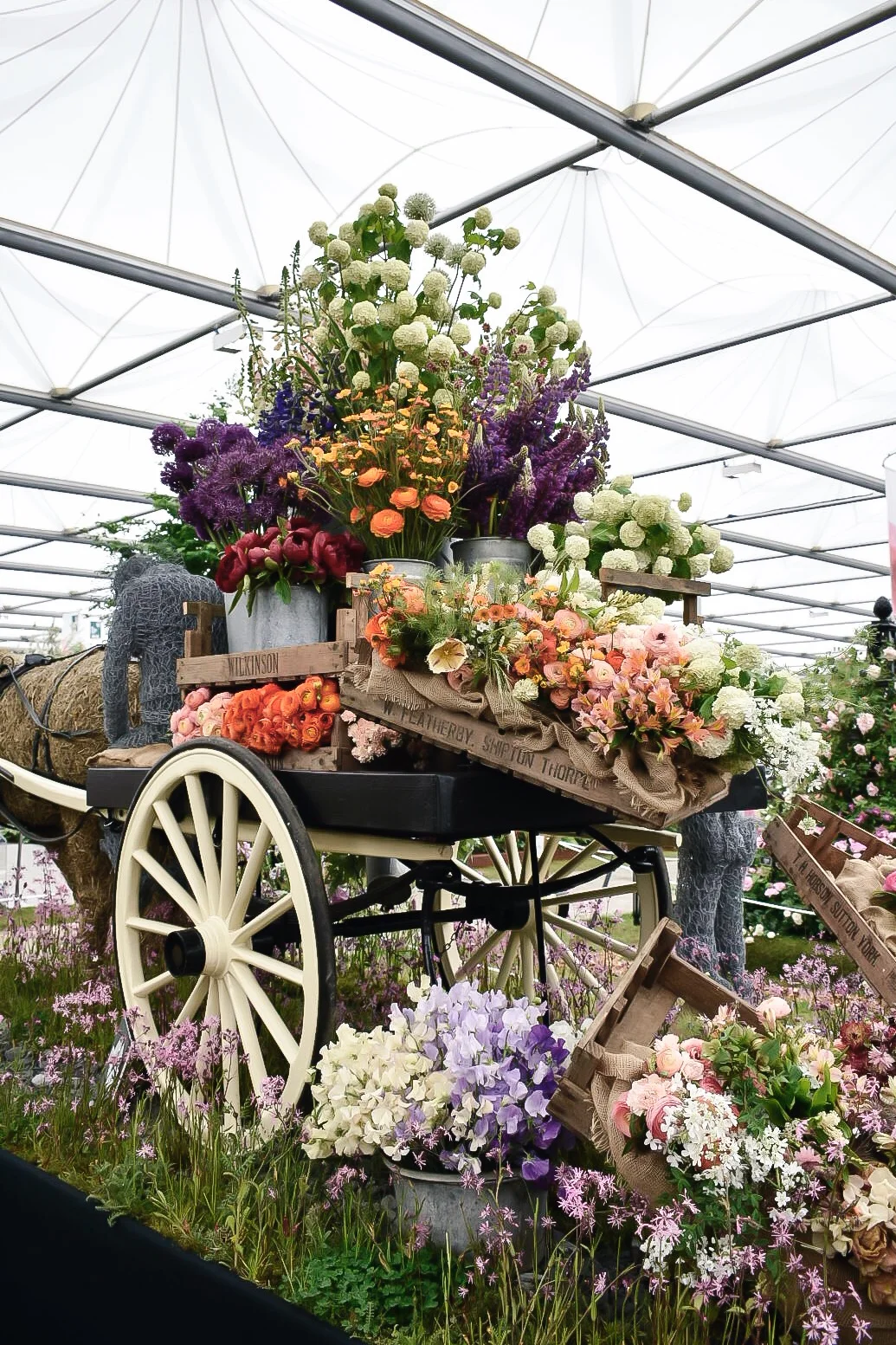 Under the floral spell at the RHS Chelsea Flower Show