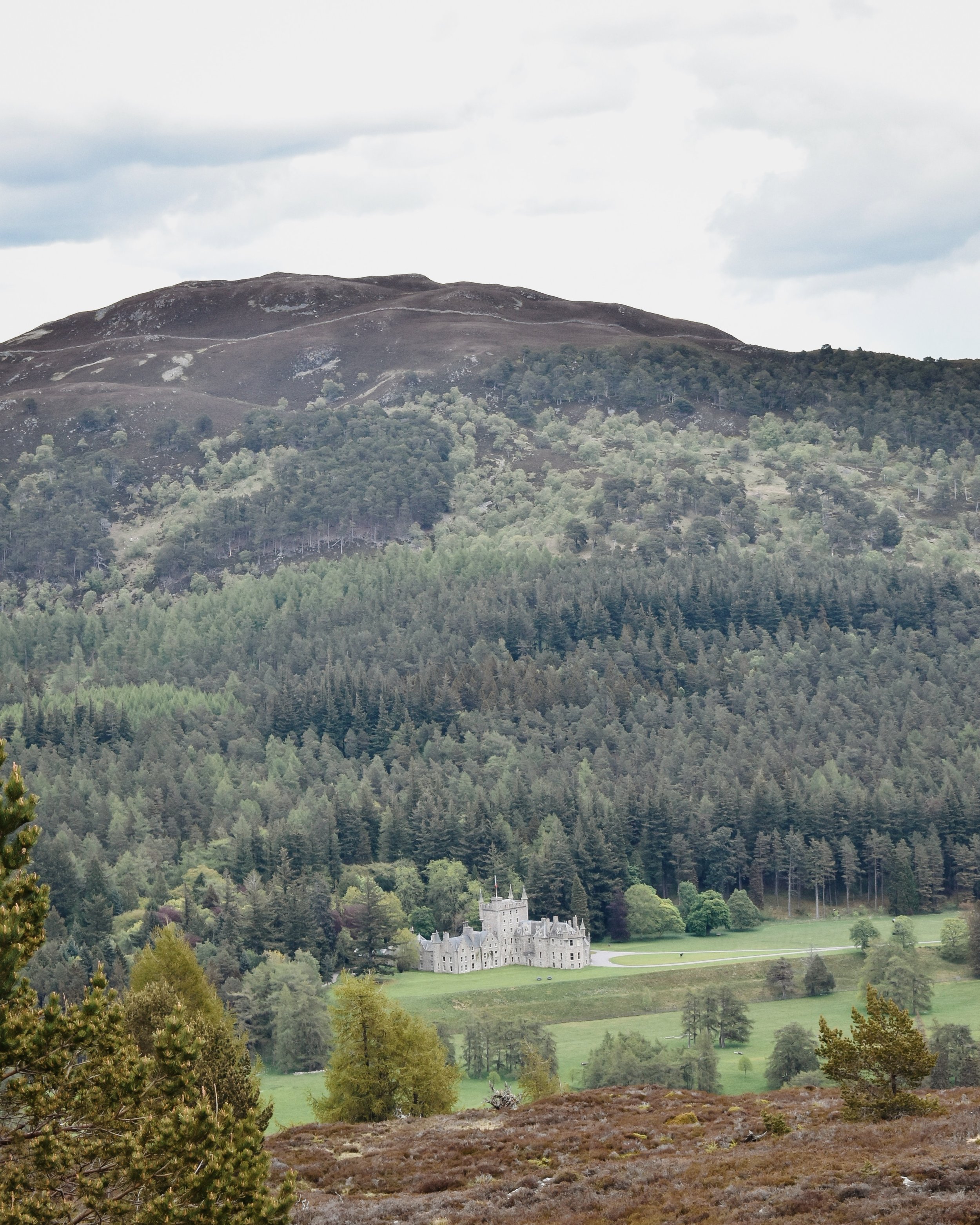 Looking towards the Invercauld estate