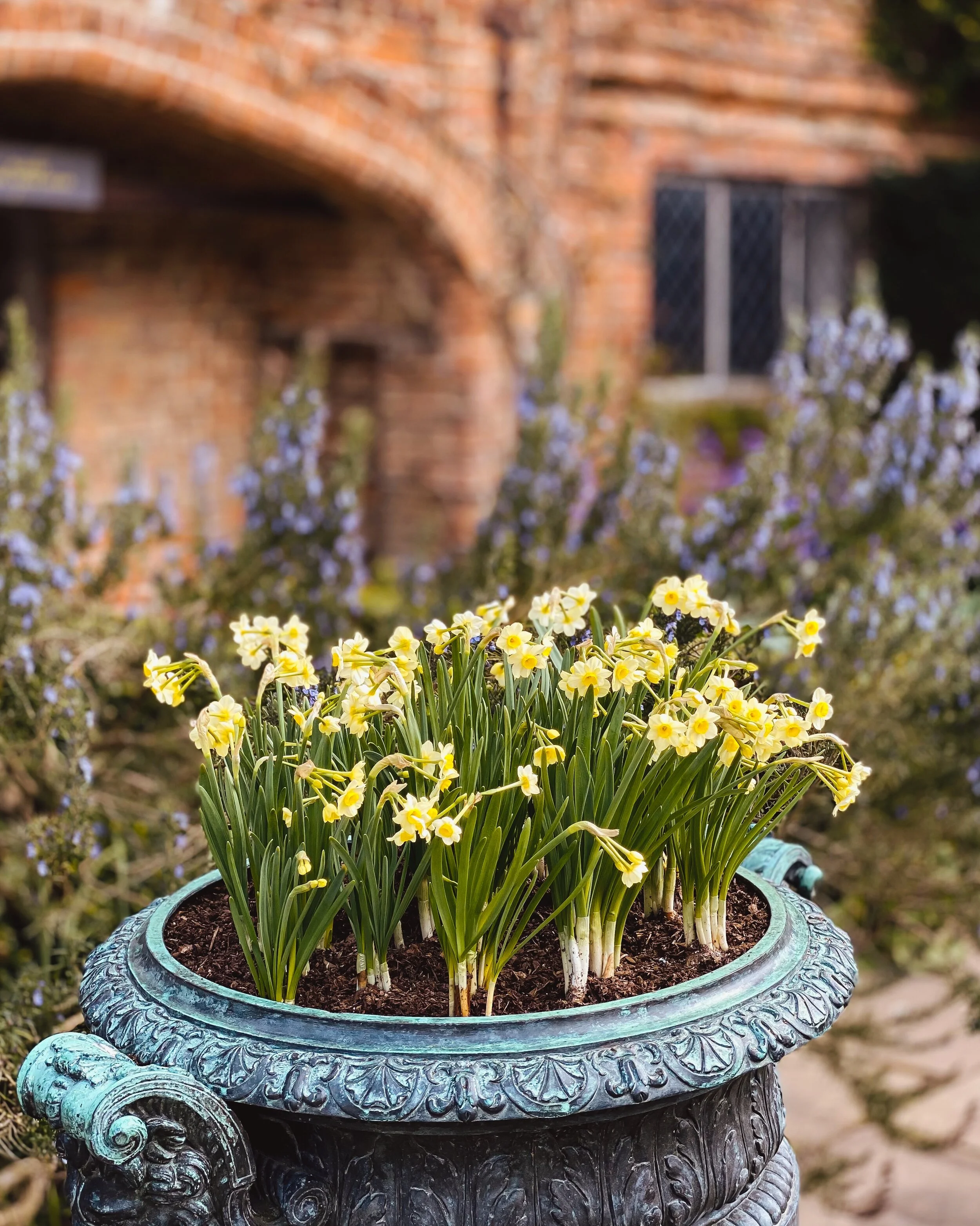 Spring at Sissinghurst — Skye O'Neill