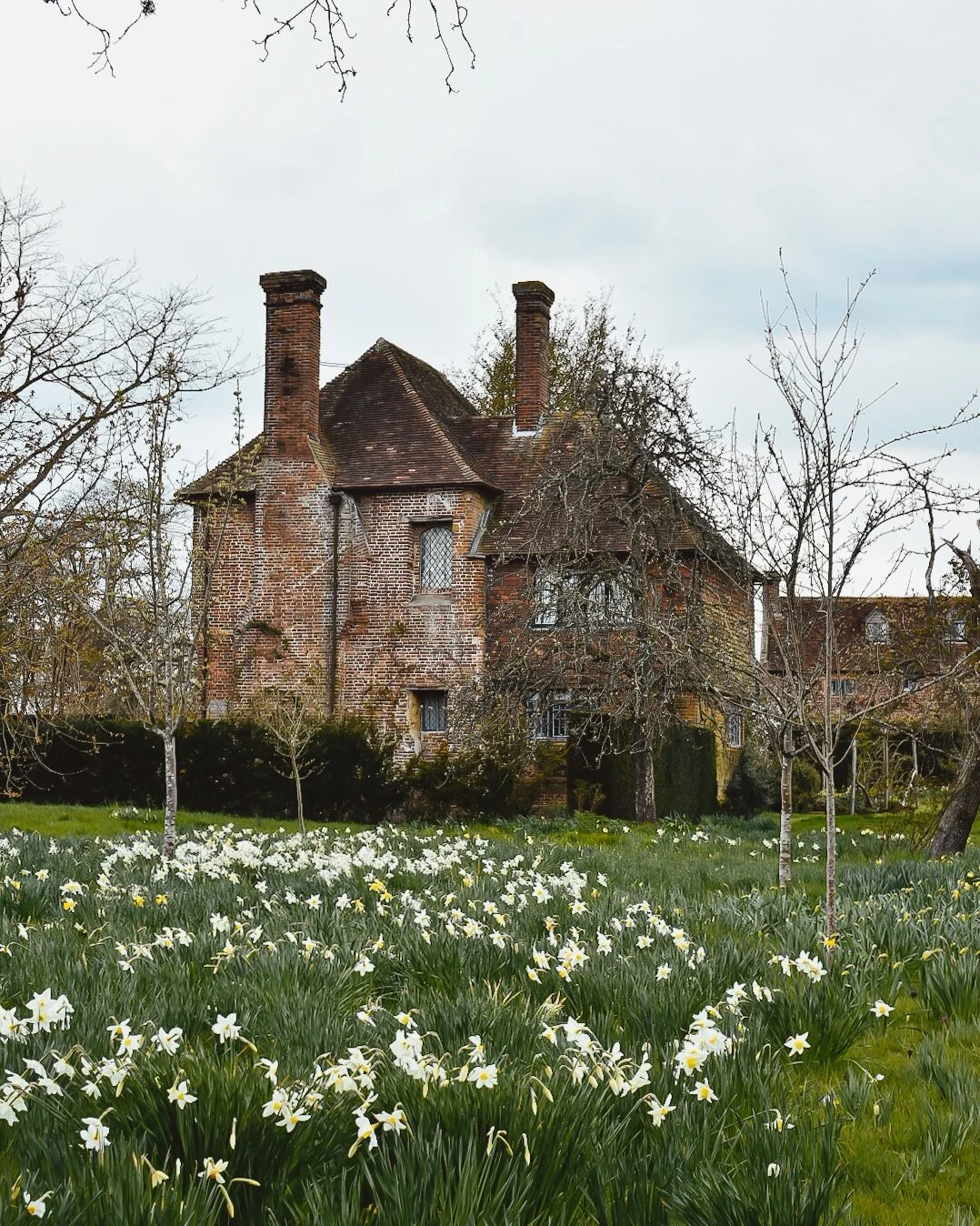 Spring at Sissinghurst — Skye O'Neill