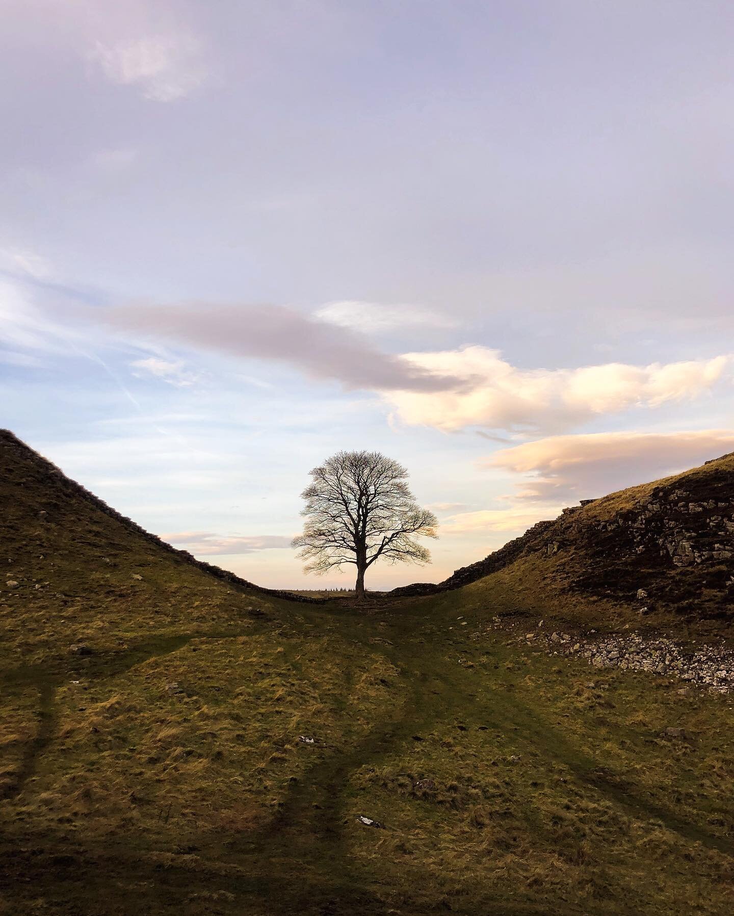 Introducing @fieldfarepress &mdash; a new independent print magazine that @angrybaker and I have started, which is all about exploring and celebrating a &ldquo;sense of place&rdquo;: what makes a place special? Why do we feel a sense of attachment or