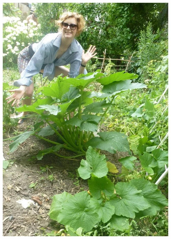 All the best neighbours share their homegrown zucchini ( Sage Rising , Toronto, ON).