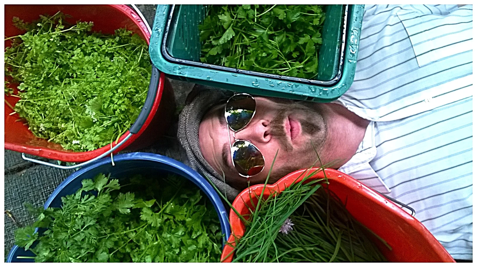 Guy strikes a pose with an early spring herb mix featuring cilantro, chives, chervil and Italian parsley ( Sage Rising , Toronto, ON).