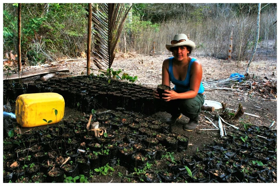 Caitlin caring for tree seedlings at the tropical dry forest nursery while on an internship at Reserva Bosque Seco Lalo Loor ( Fundacion Ceiba , Tabuga, Ecuador).