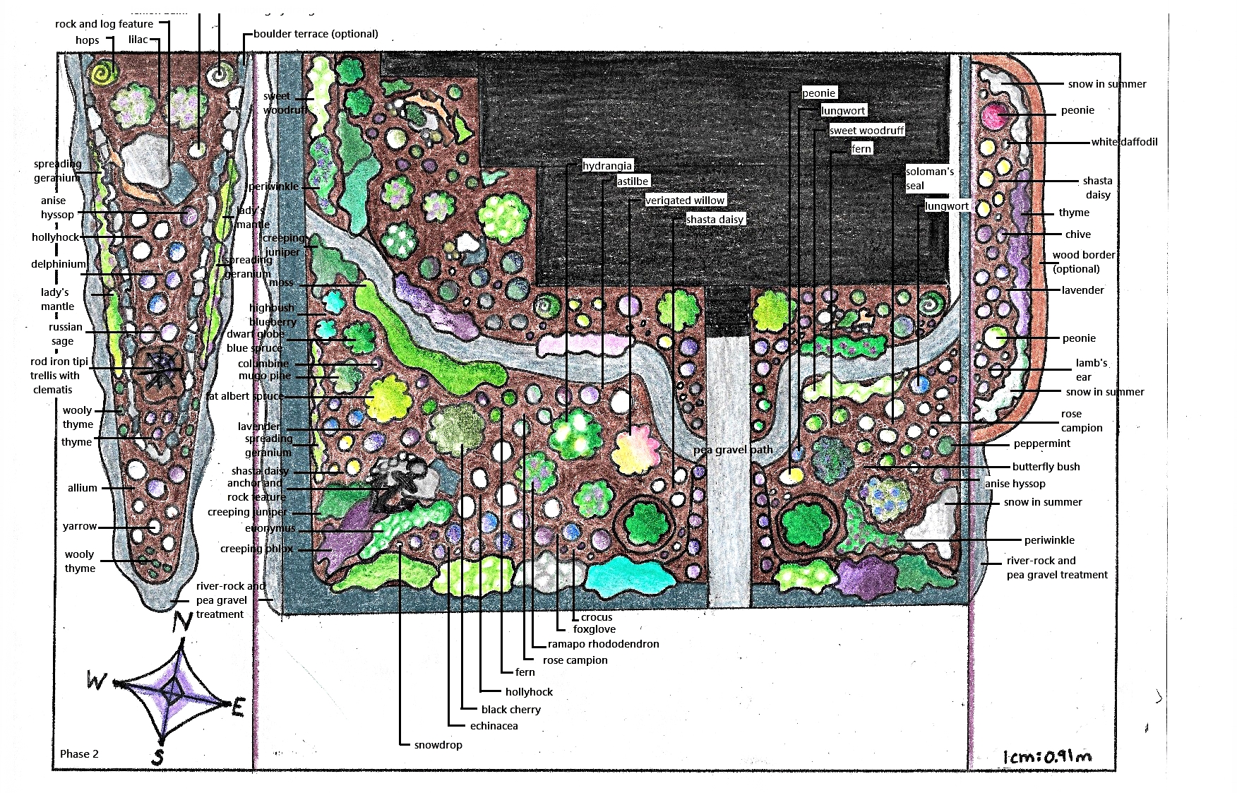 Caitlin's landscape design for a natural front-yard garden for a high-end business front (Caitlin Doucette, 2017).