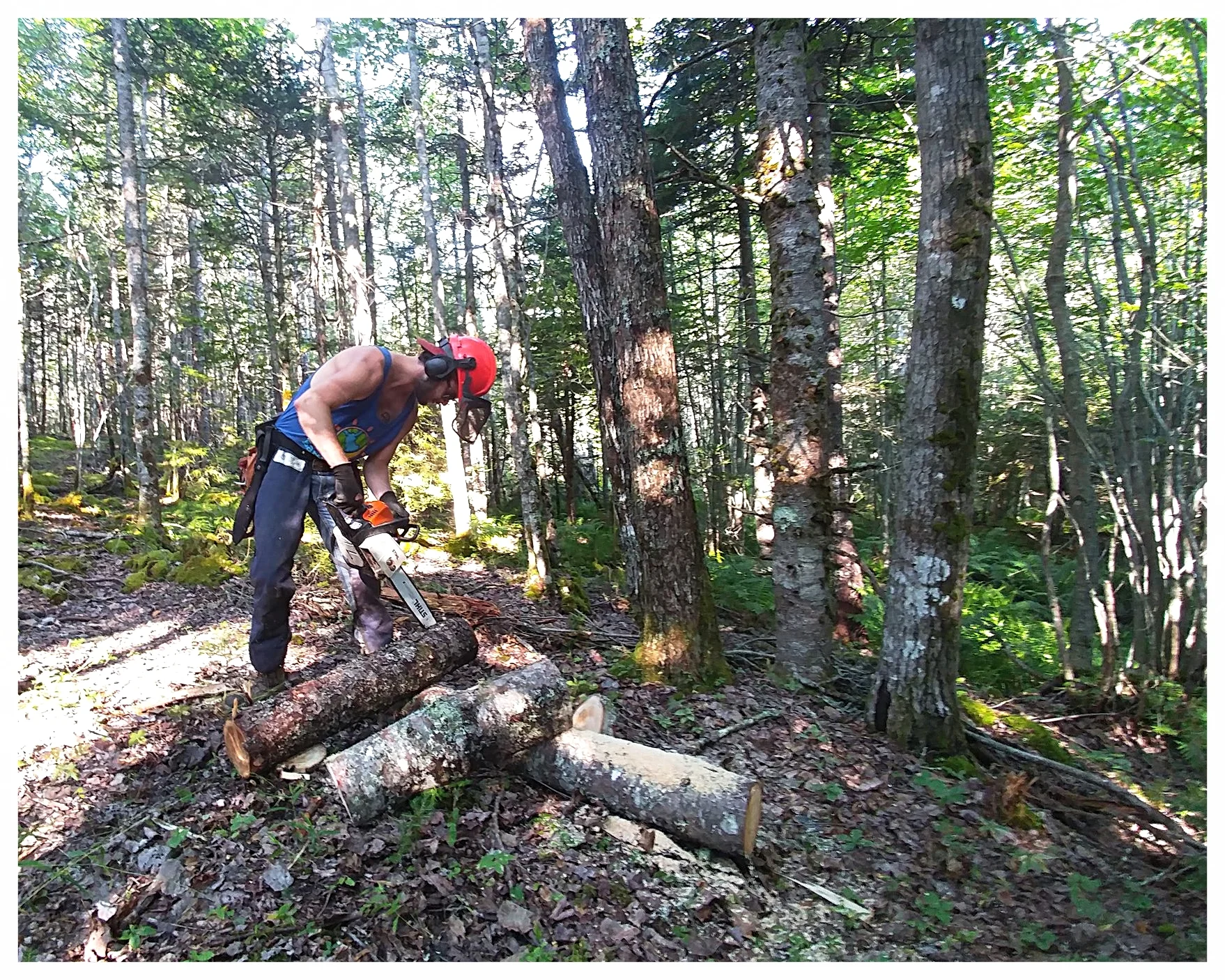 Garett uses cut wood to make a bench for this pathway. (Rose Bay, NS)