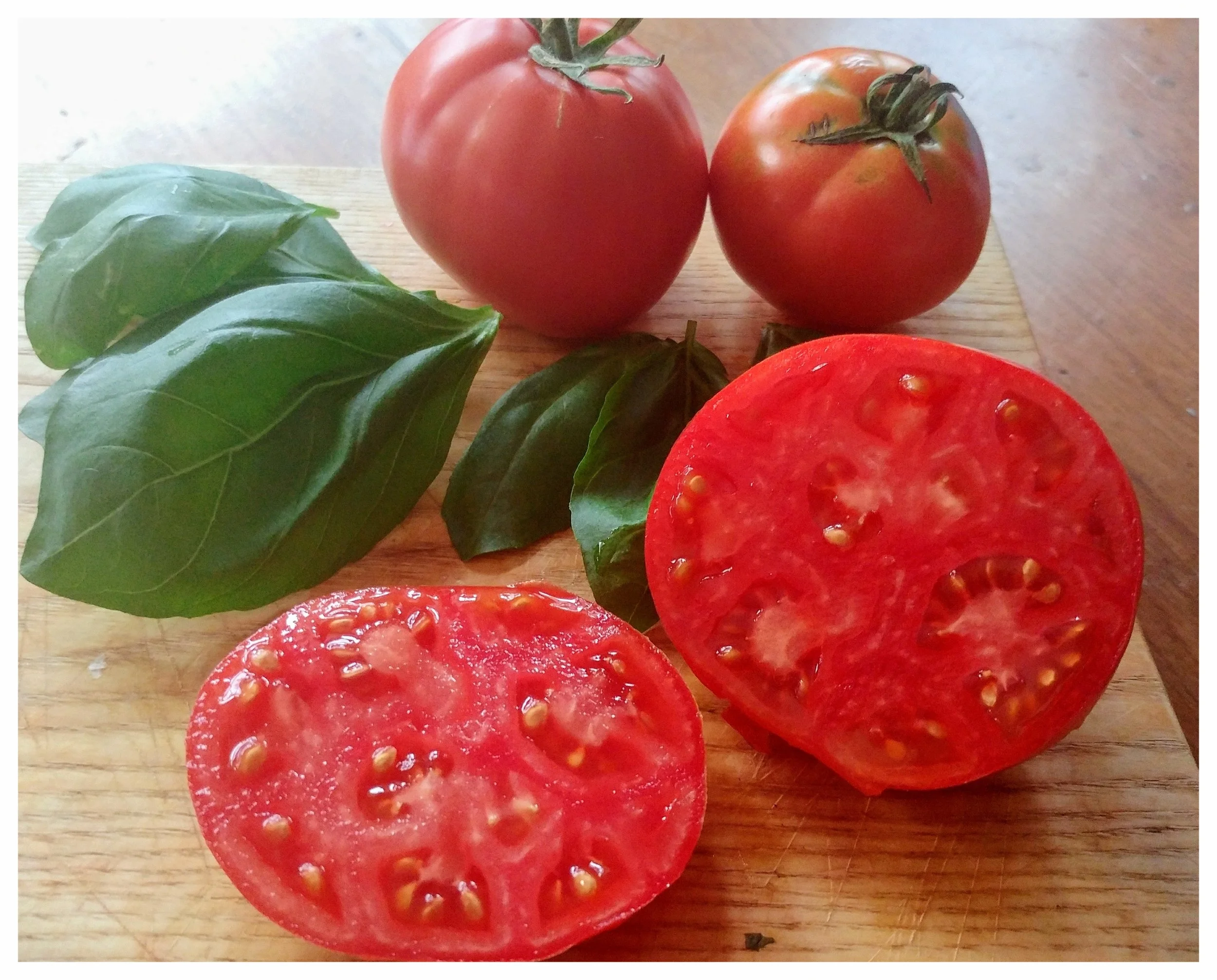Few things in life are better than organic tomatoes and basil from your own garden! (Bridgewater, NS)