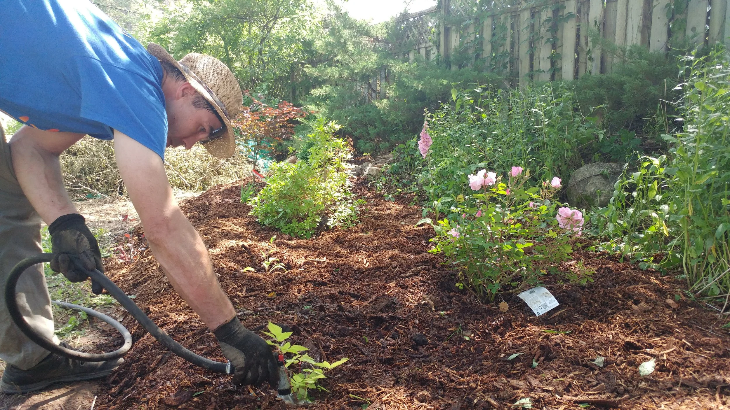 Guy Doucette Earthshine Gardens watering Mahone Bay.jpg