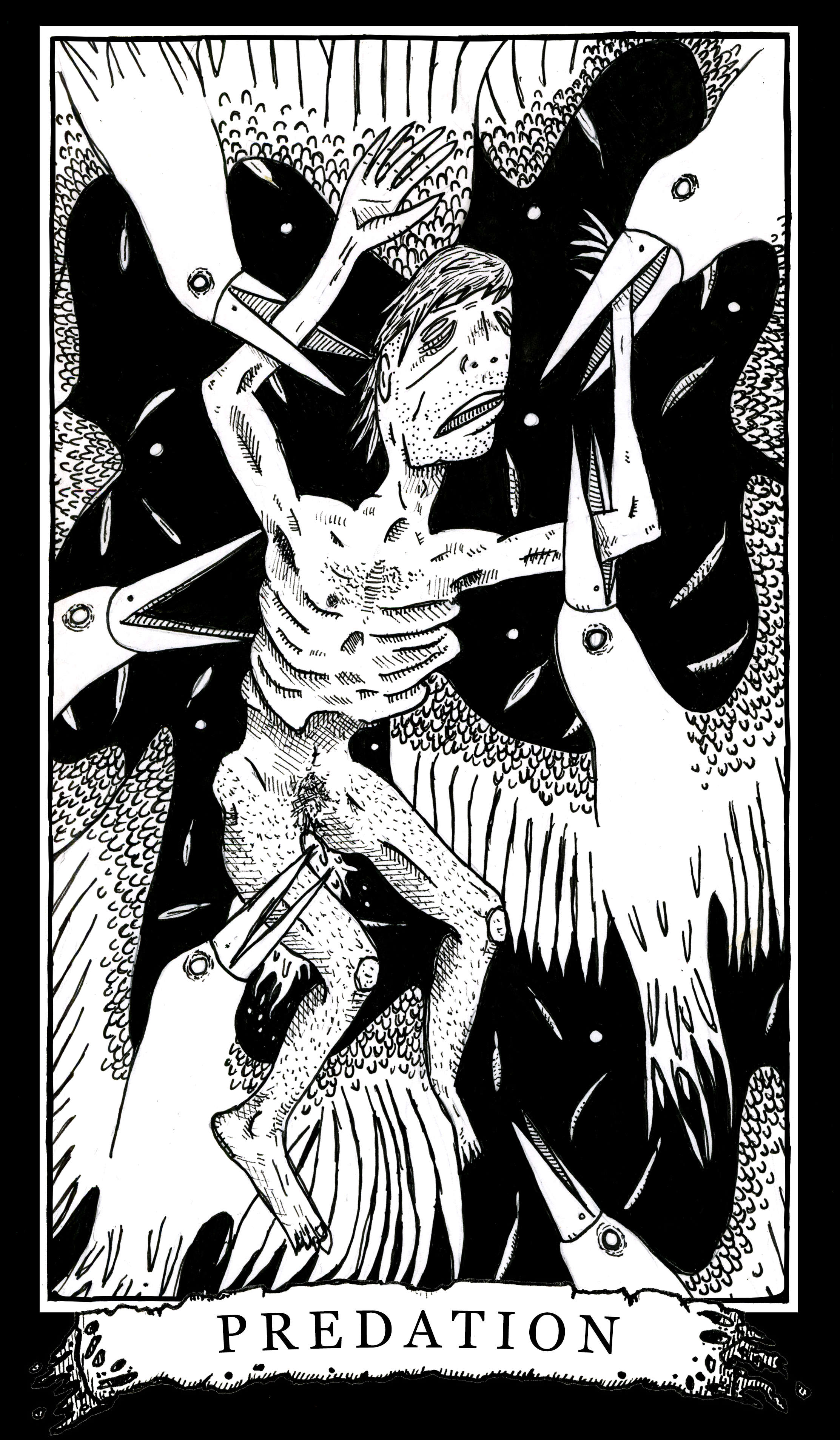 96 -predation.png