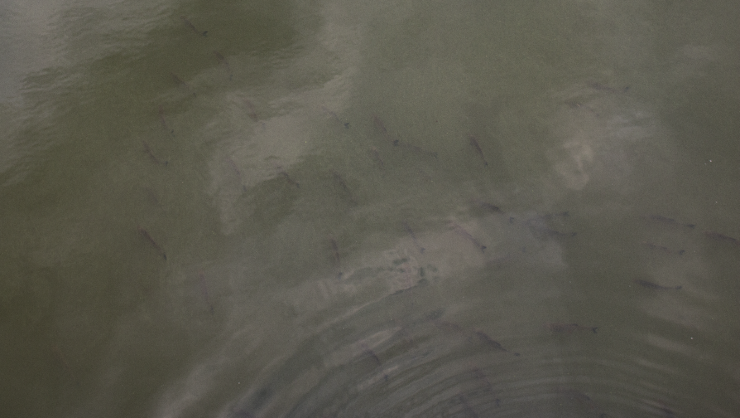 354 (2024_03_22 15_51_01 UTC).PNG