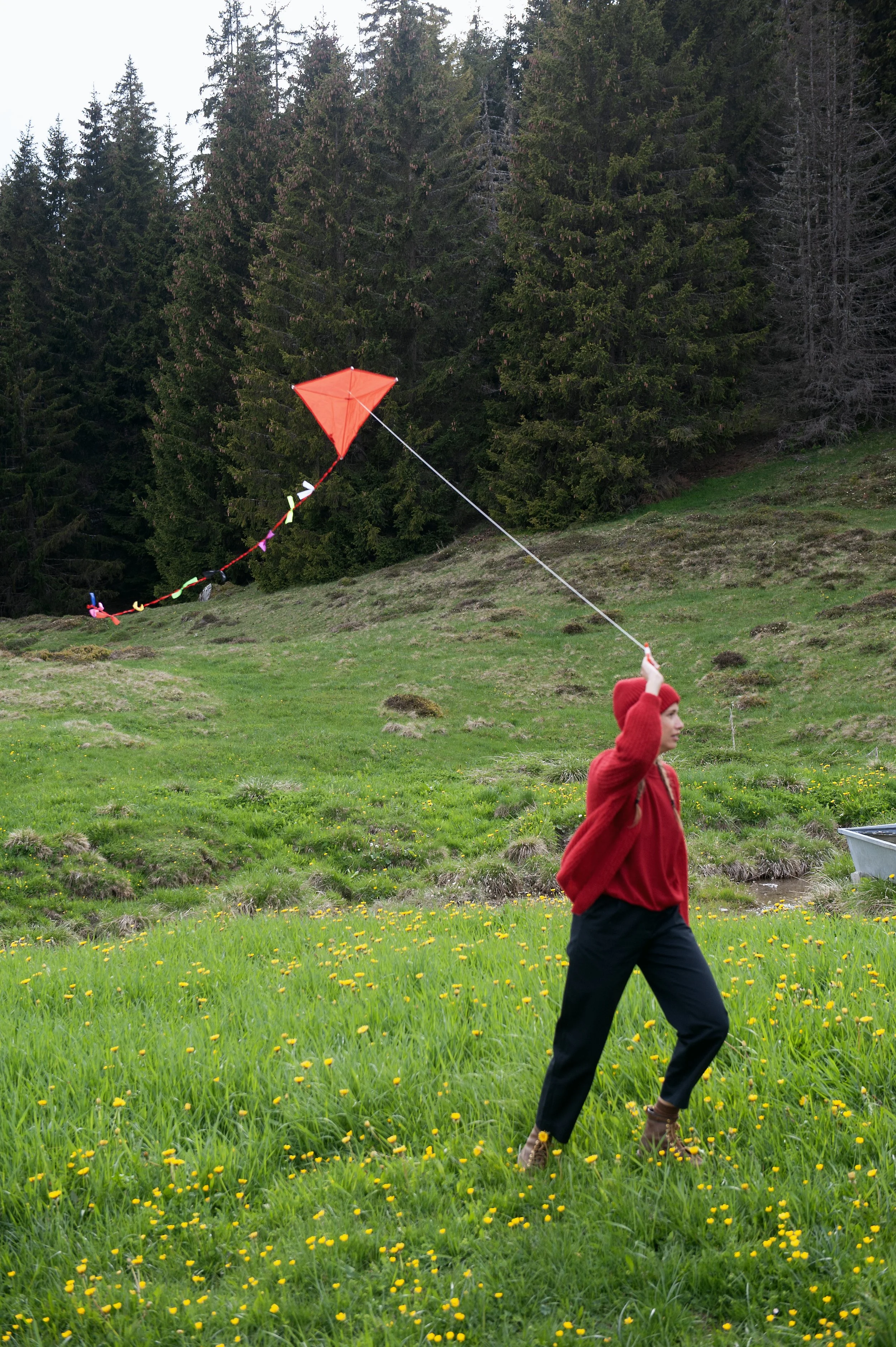   Jungle Folk    Entwicklung und Design in Zürich.   Transparenz ist bei  Jungle Folk  ein Muss! 