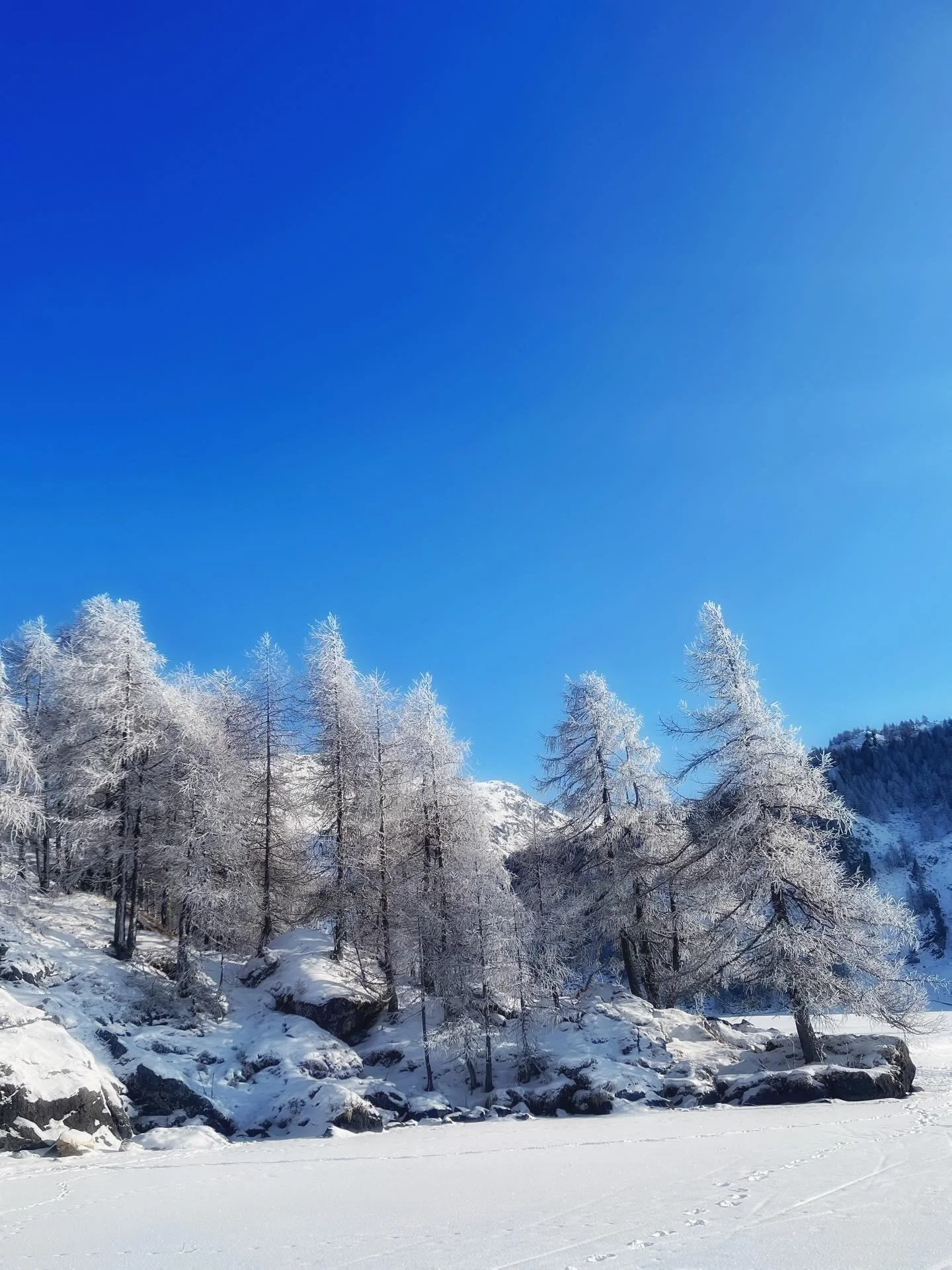 🤍&raquo;Die gr&ouml;&szlig;ten Ereignisse, das sind nicht unsere
lautesten, sondern unsere stillsten Stunden.&laquo;
Friedrich Nietzsche
Tsch&uuml;ss Januar #januarymood #wintertime #rytzbern 
slow and beautiful