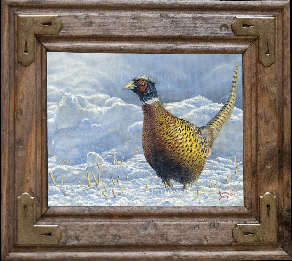 All Made Up With Nowhere to Go, 8x10, framed pheasant painting