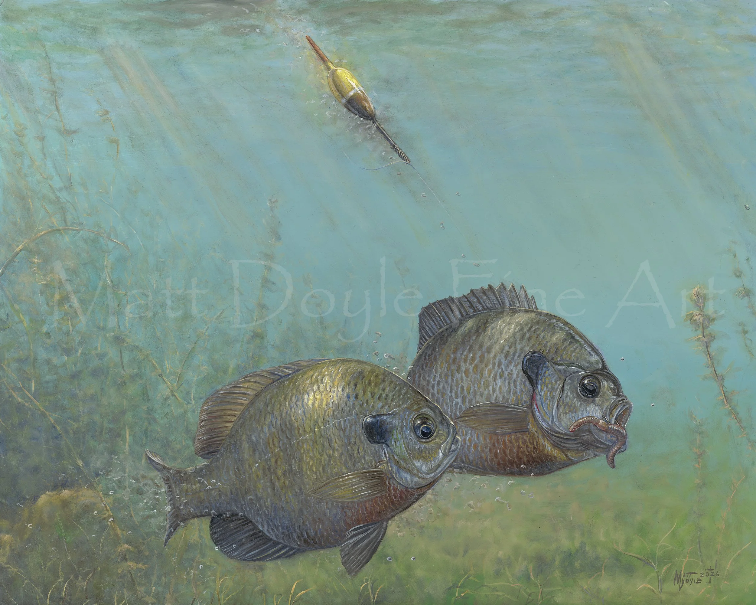 Down To The Wire watermark.jpg (Copy)