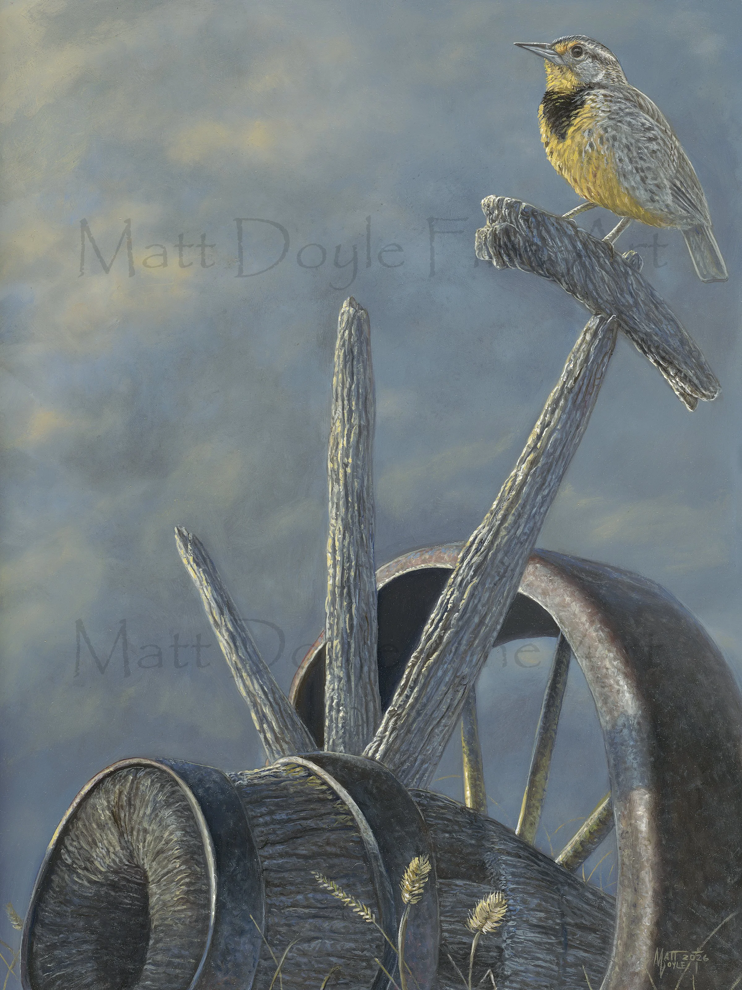 Light In The Dark watermark.jpg (Copy)