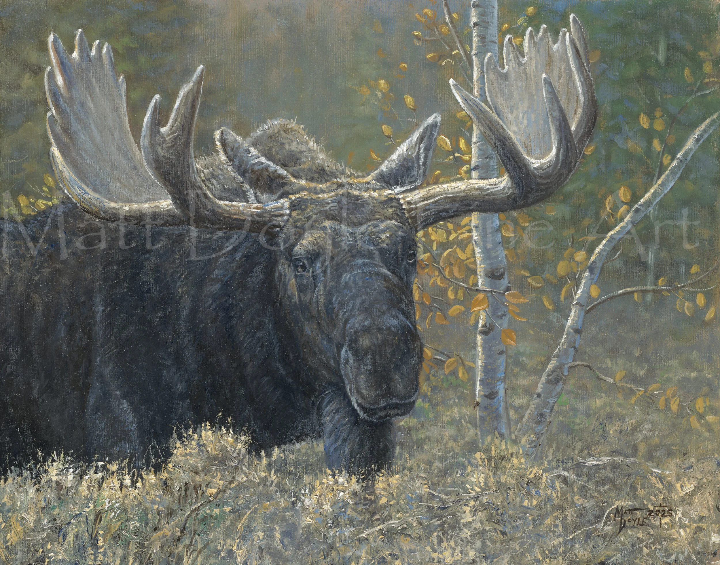 Solitary Approach watermark.jpg