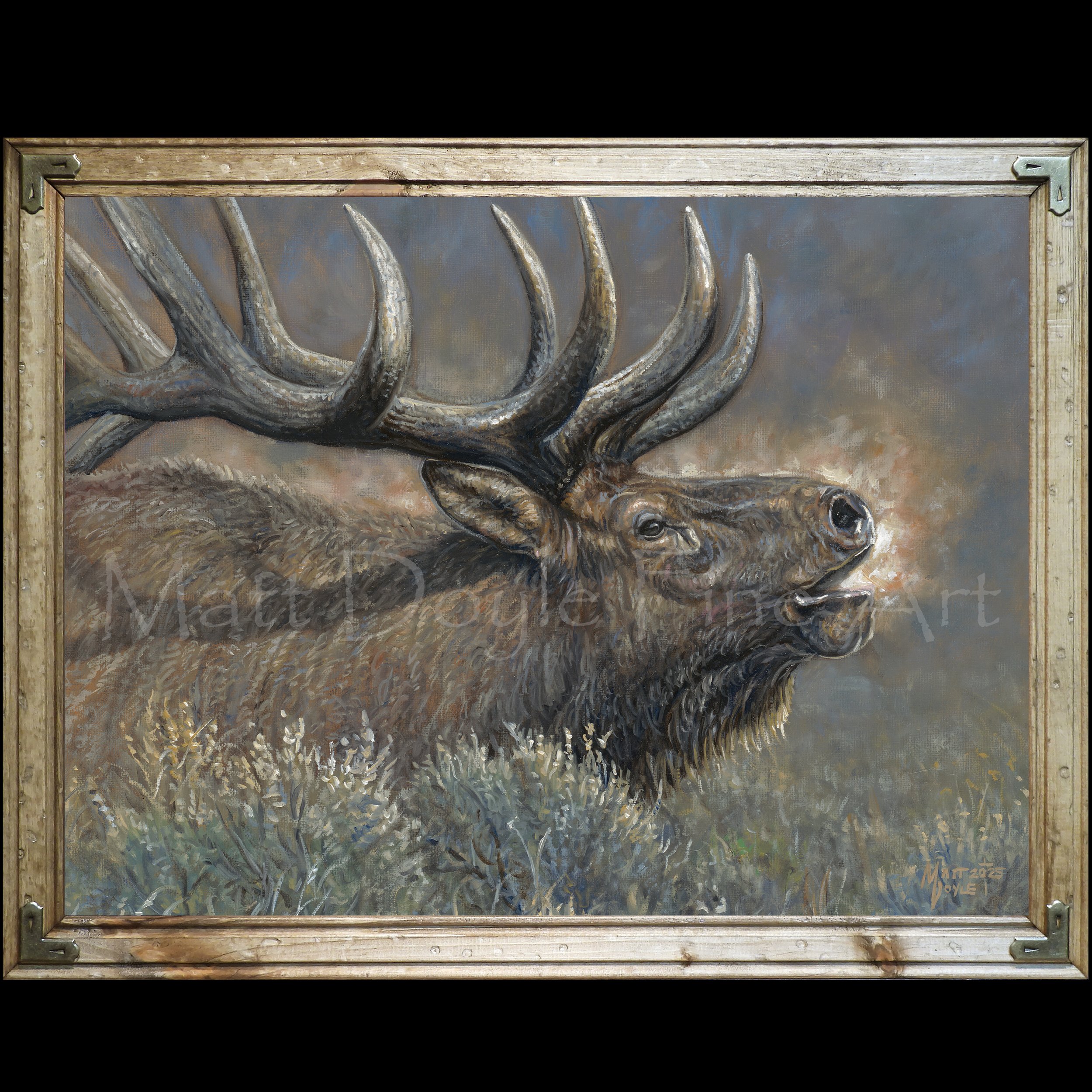 Battle Cry Framed.jpg (Copy)