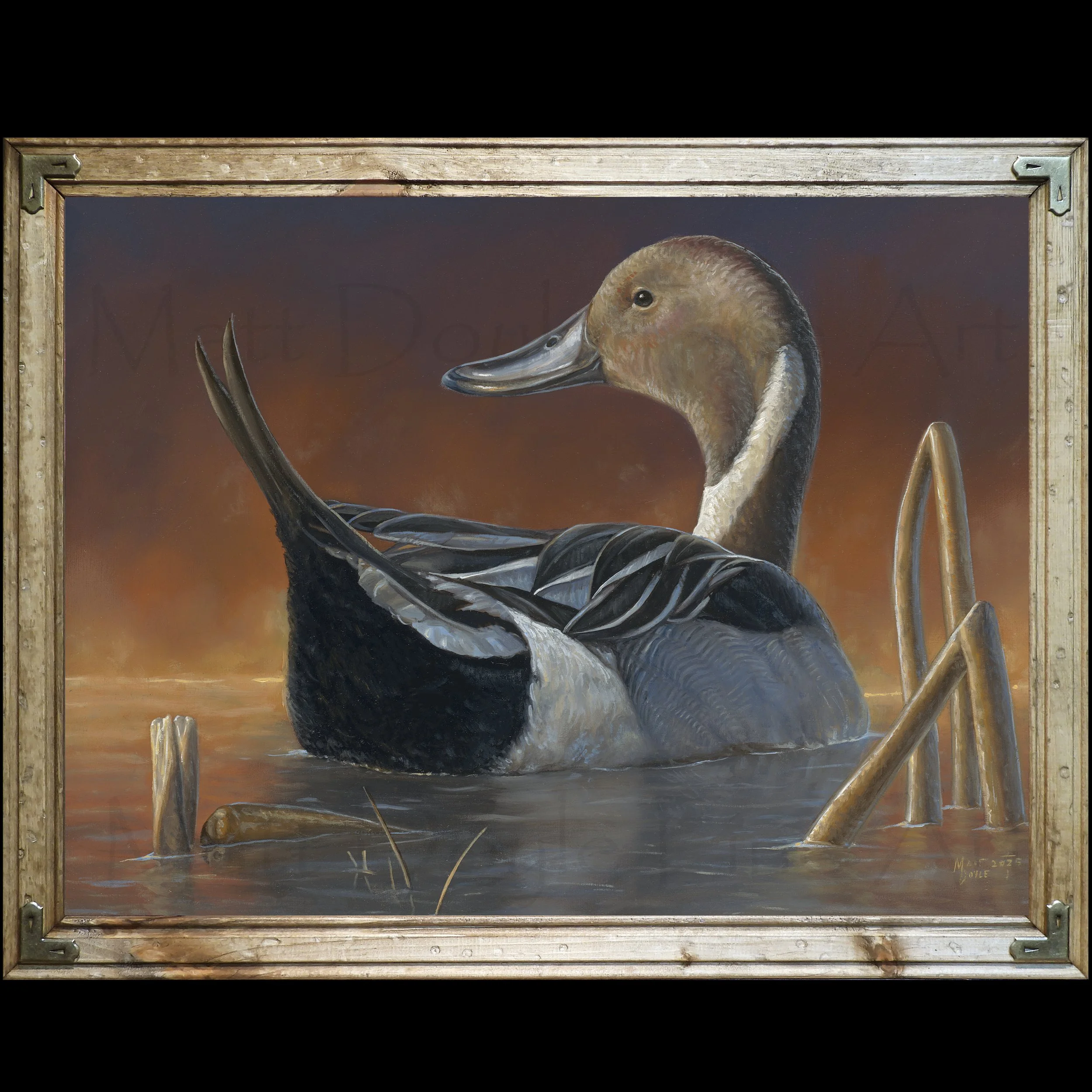 First Light framed.jpg