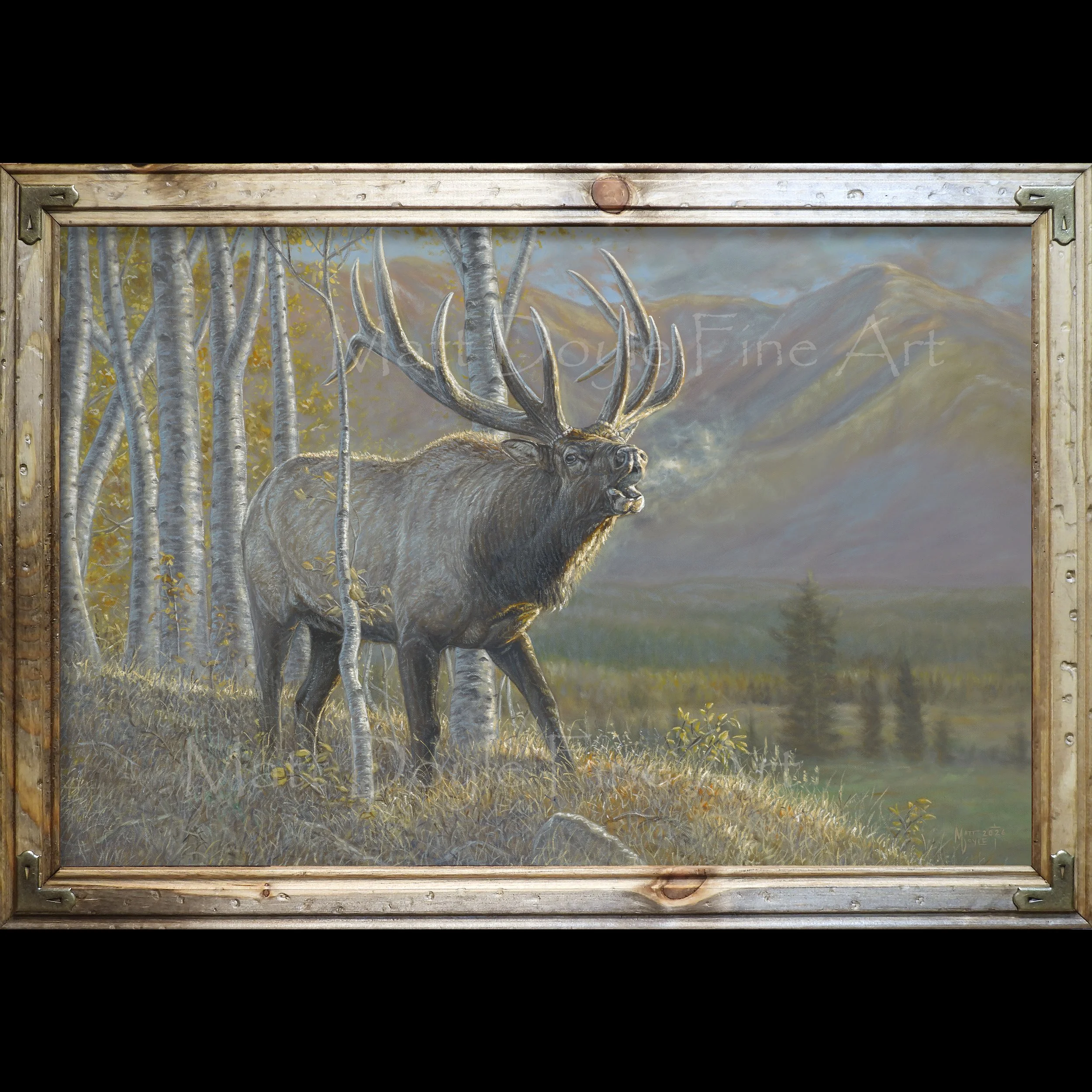 Making a Statement framed web.jpg (Copy)