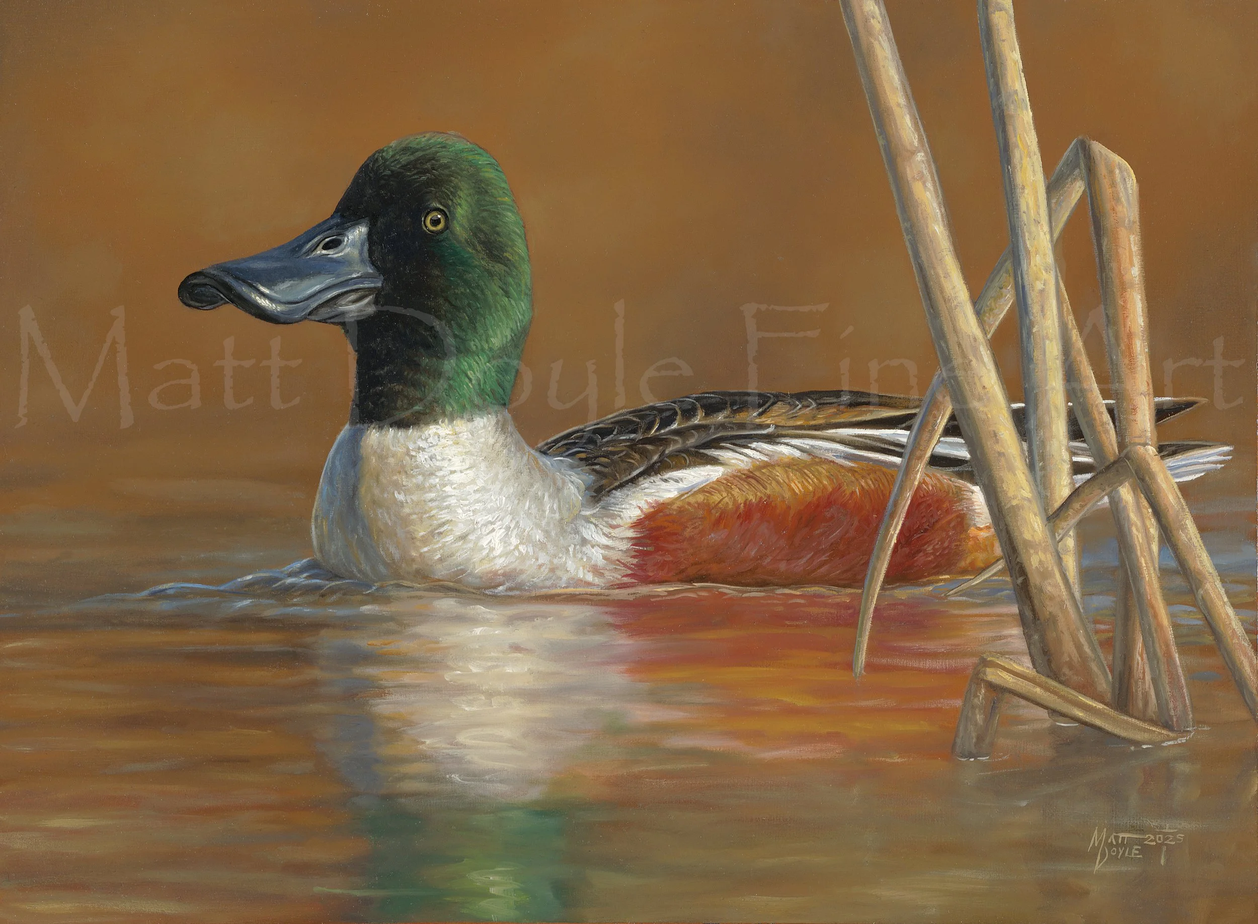 Around The Reeds watermark.jpg