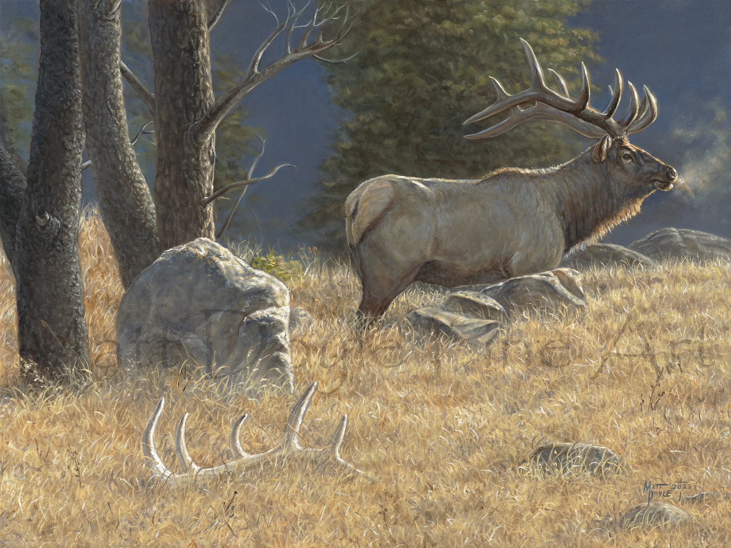 Reconnecting With The Past watermark.jpg