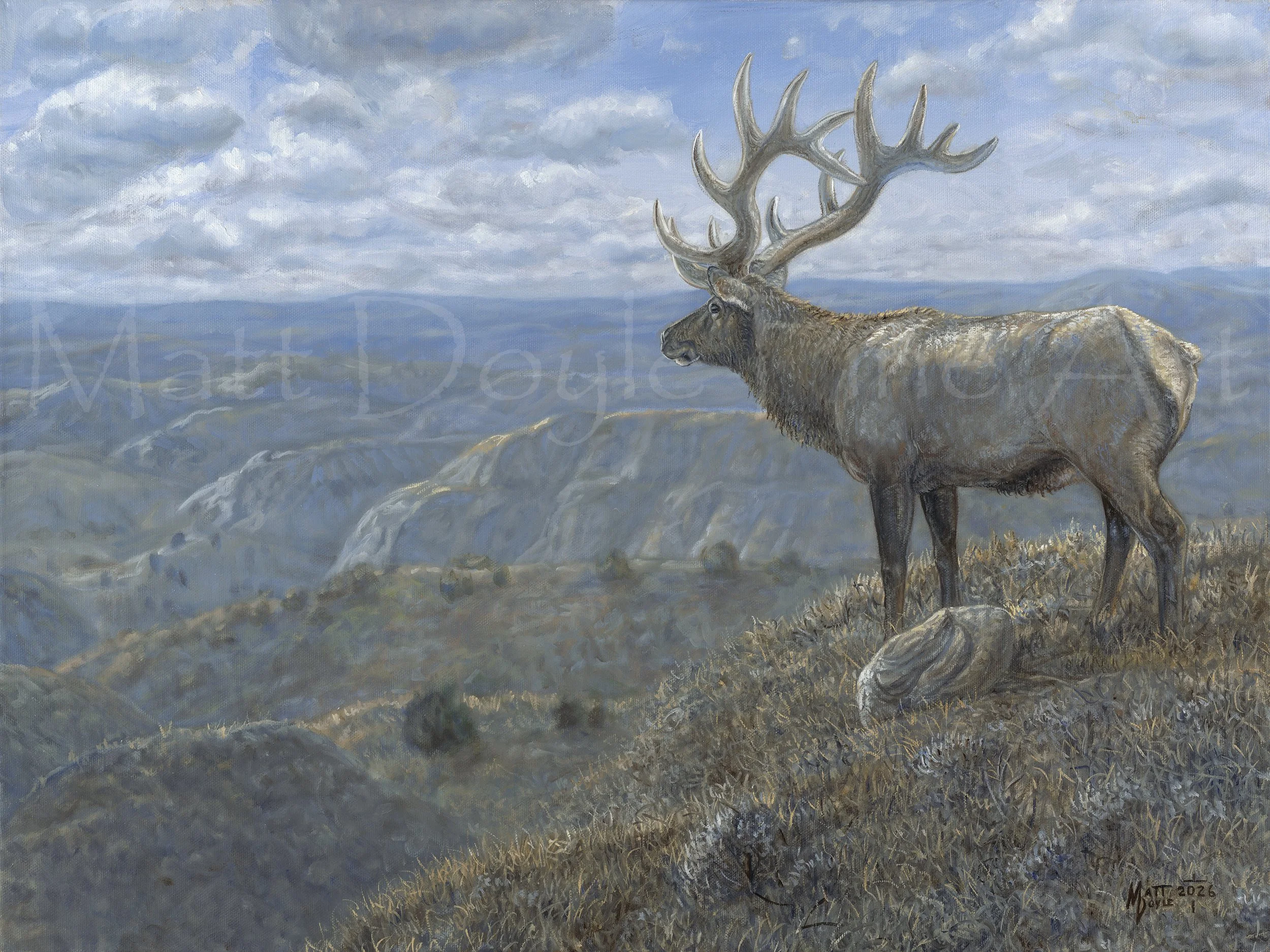 The Overlook watermark.jpg