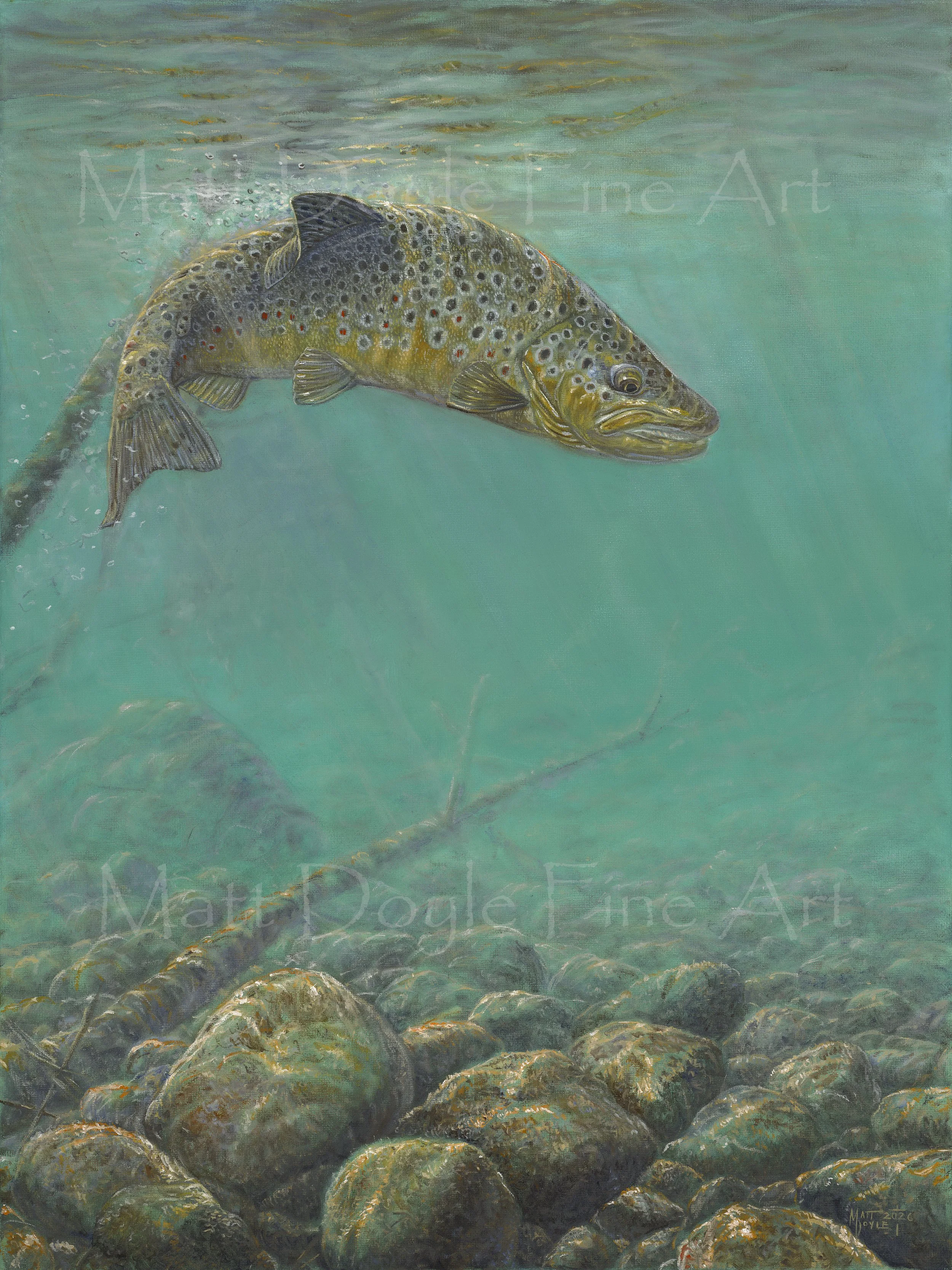 Breaking the Surface watermark.jpg (Copy)