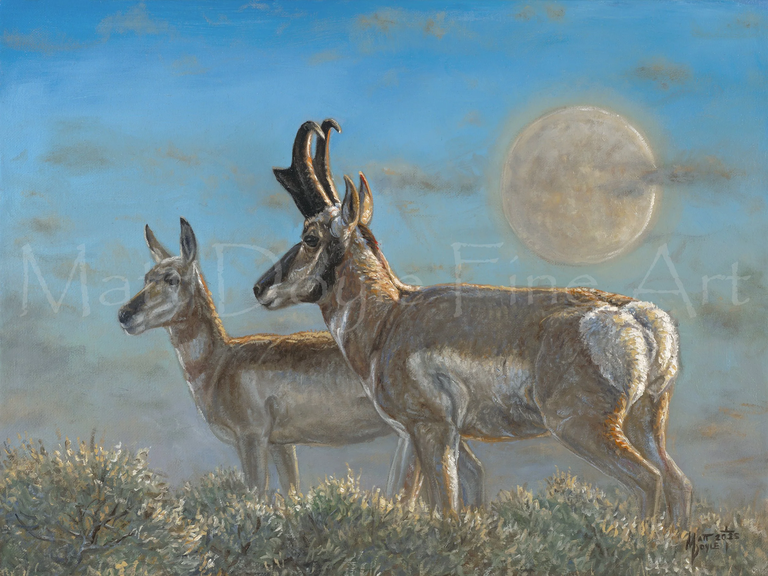 Prairie Moon Rising watermark.jpg