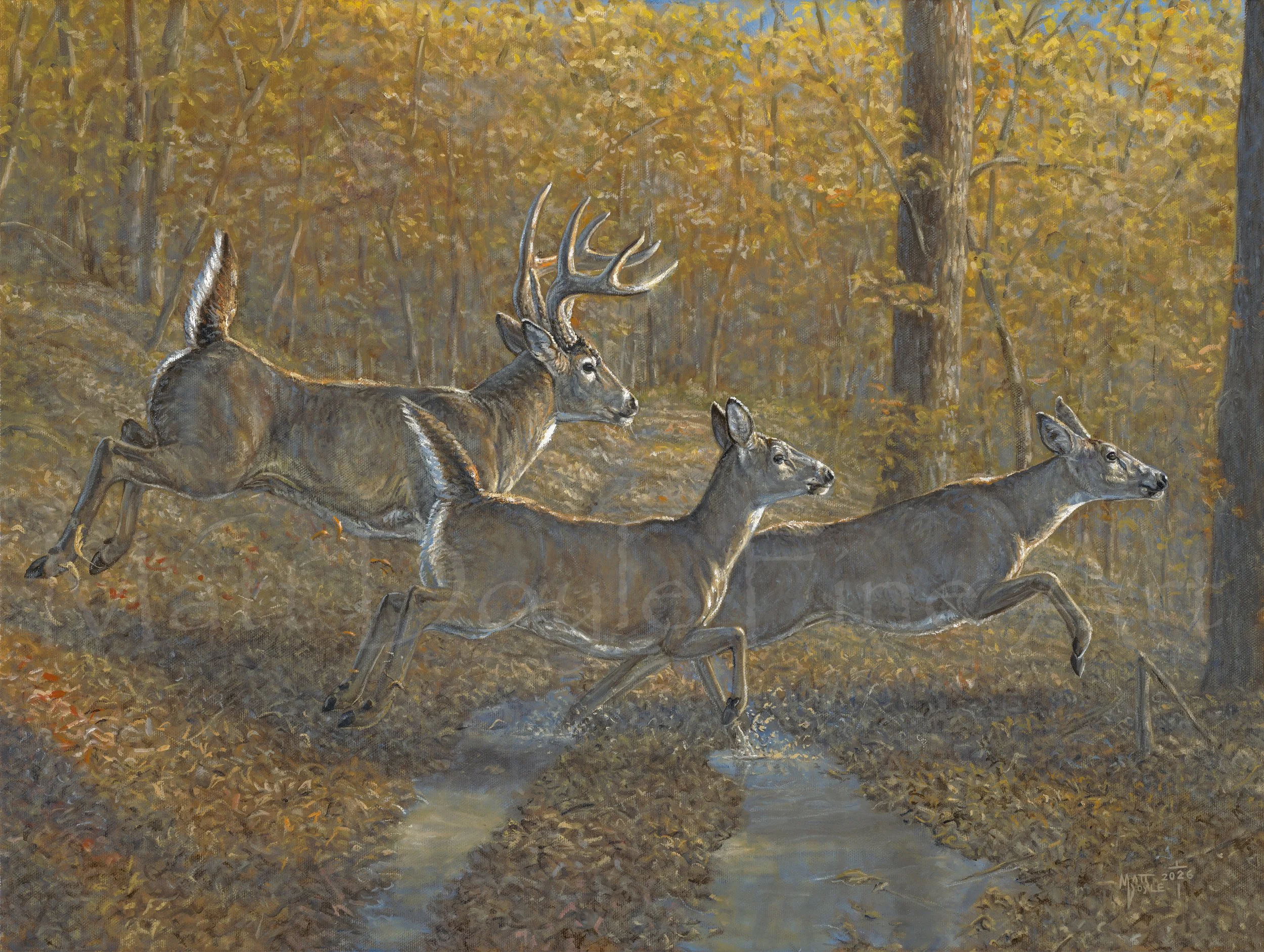 Ridge Runners watermark.jpg (Copy)