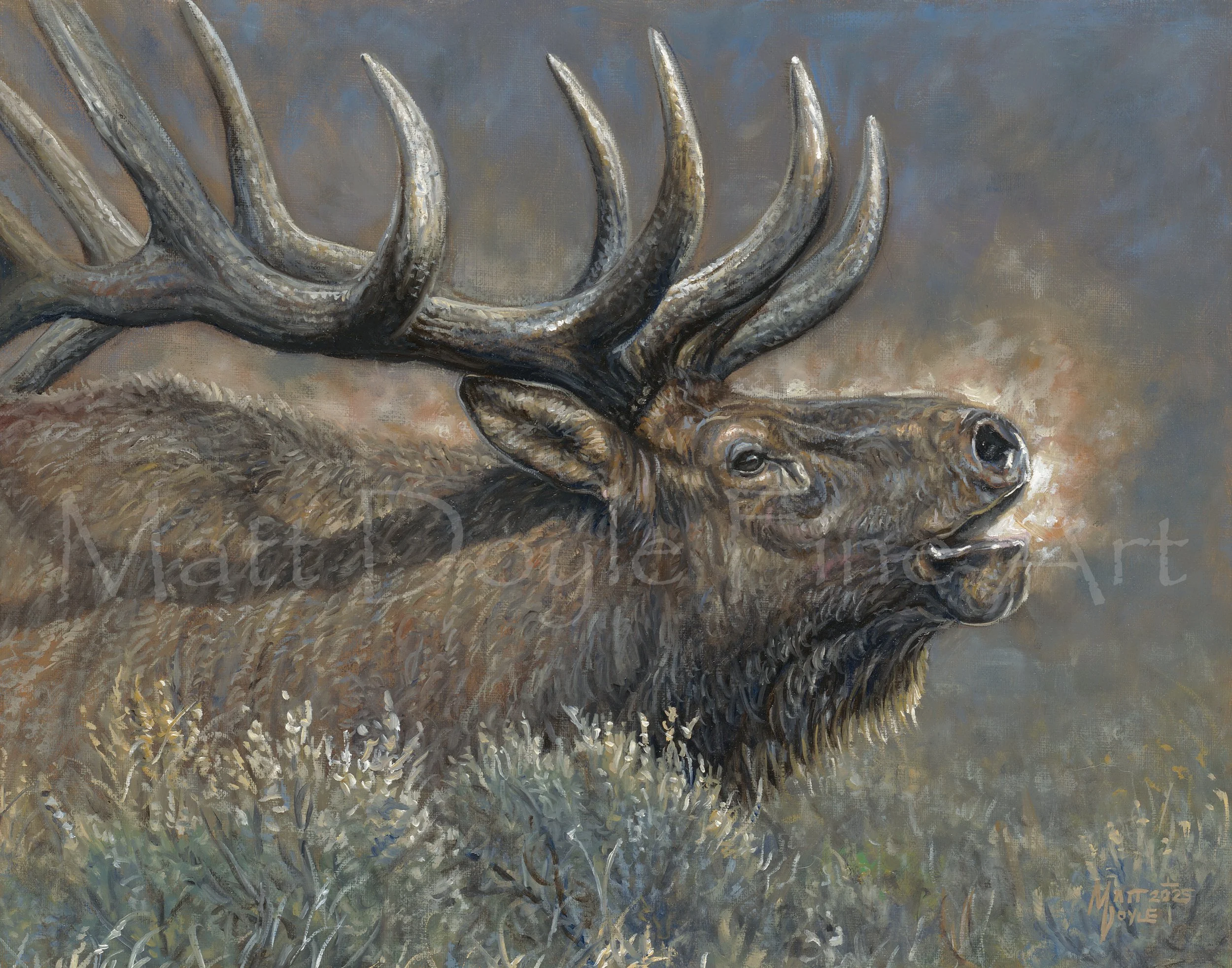 Battle Cry Watermark.jpg (Copy)