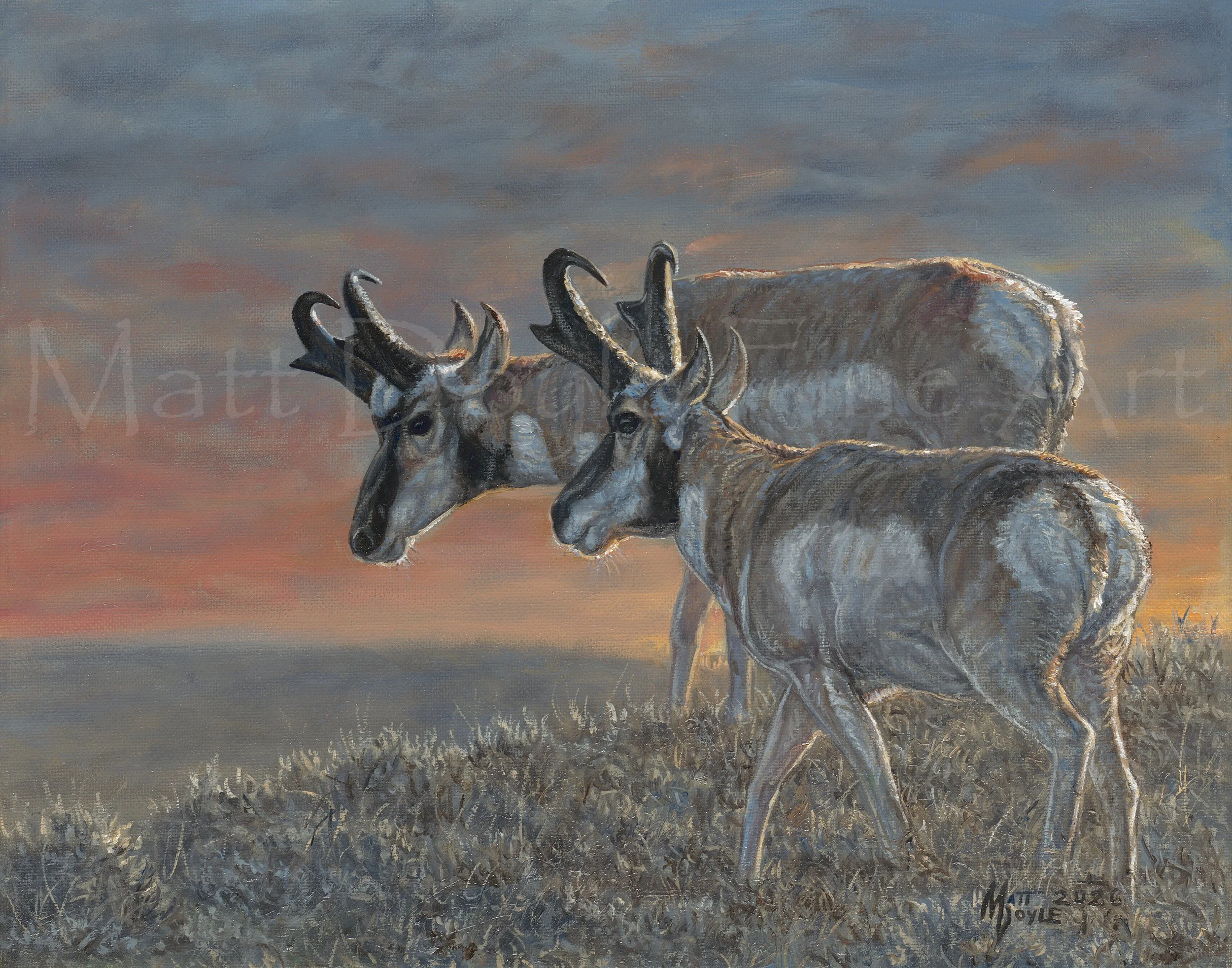 Cresting The Hill Watermark.jpg