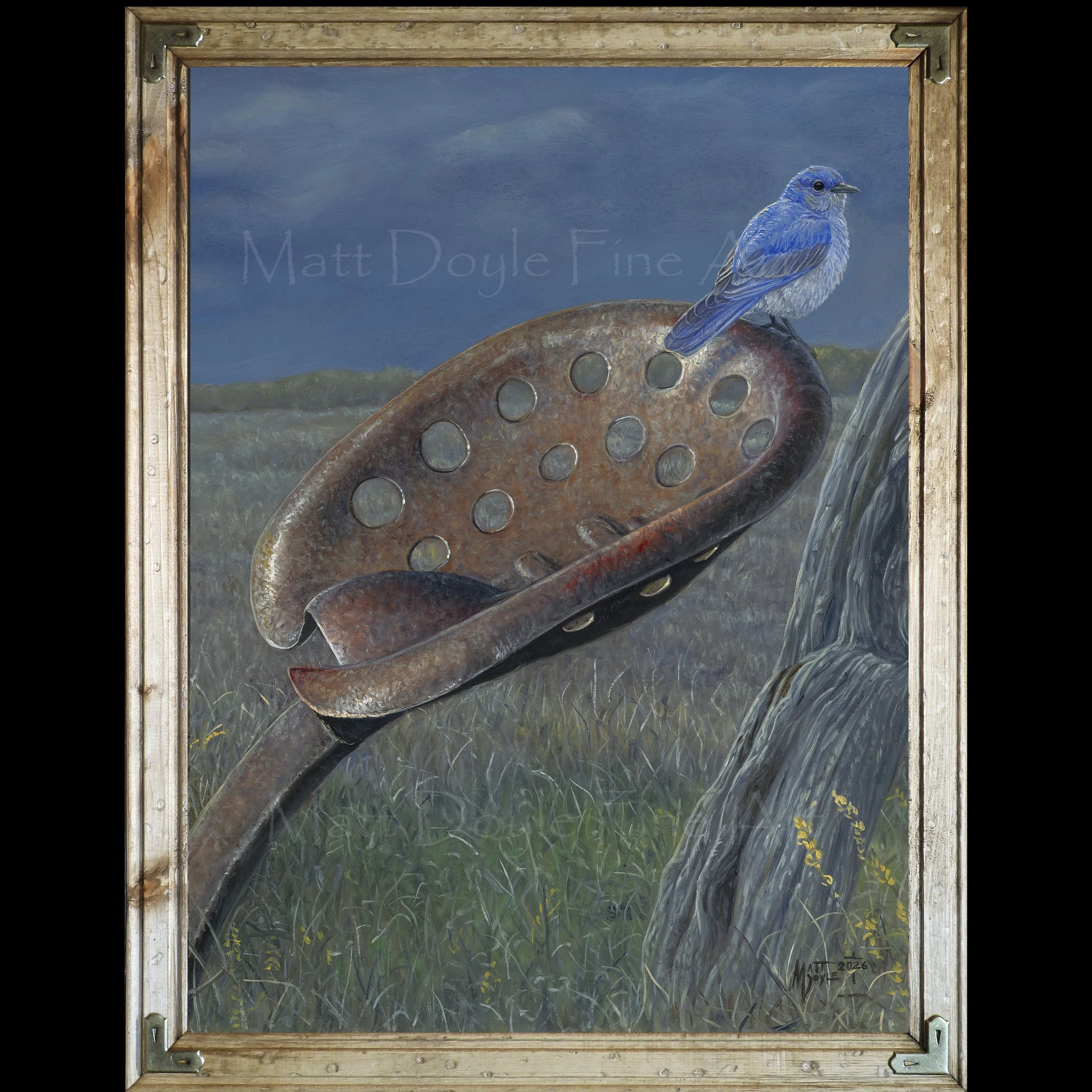 Rusty Perch Framed.jpg