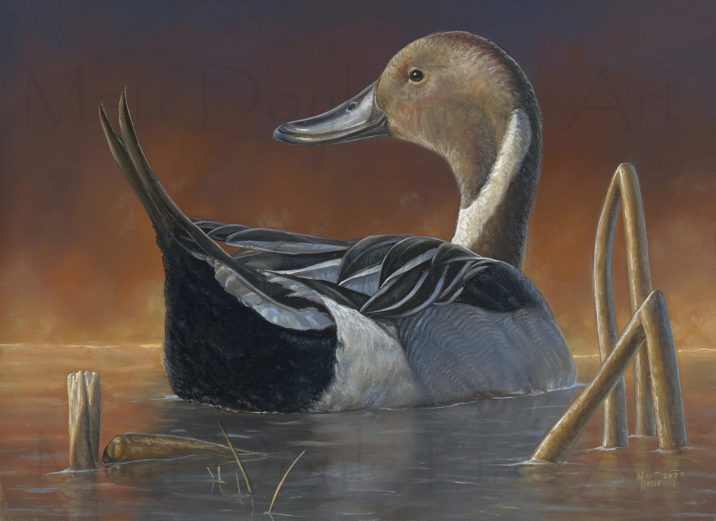 First Light watermark.jpg