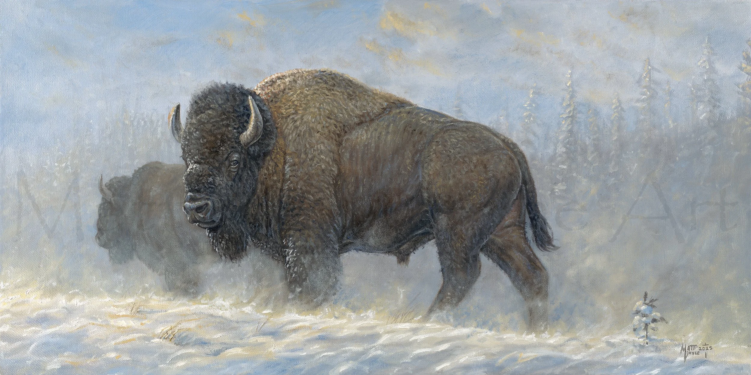 Snow Drifters watermark.jpg (Copy)