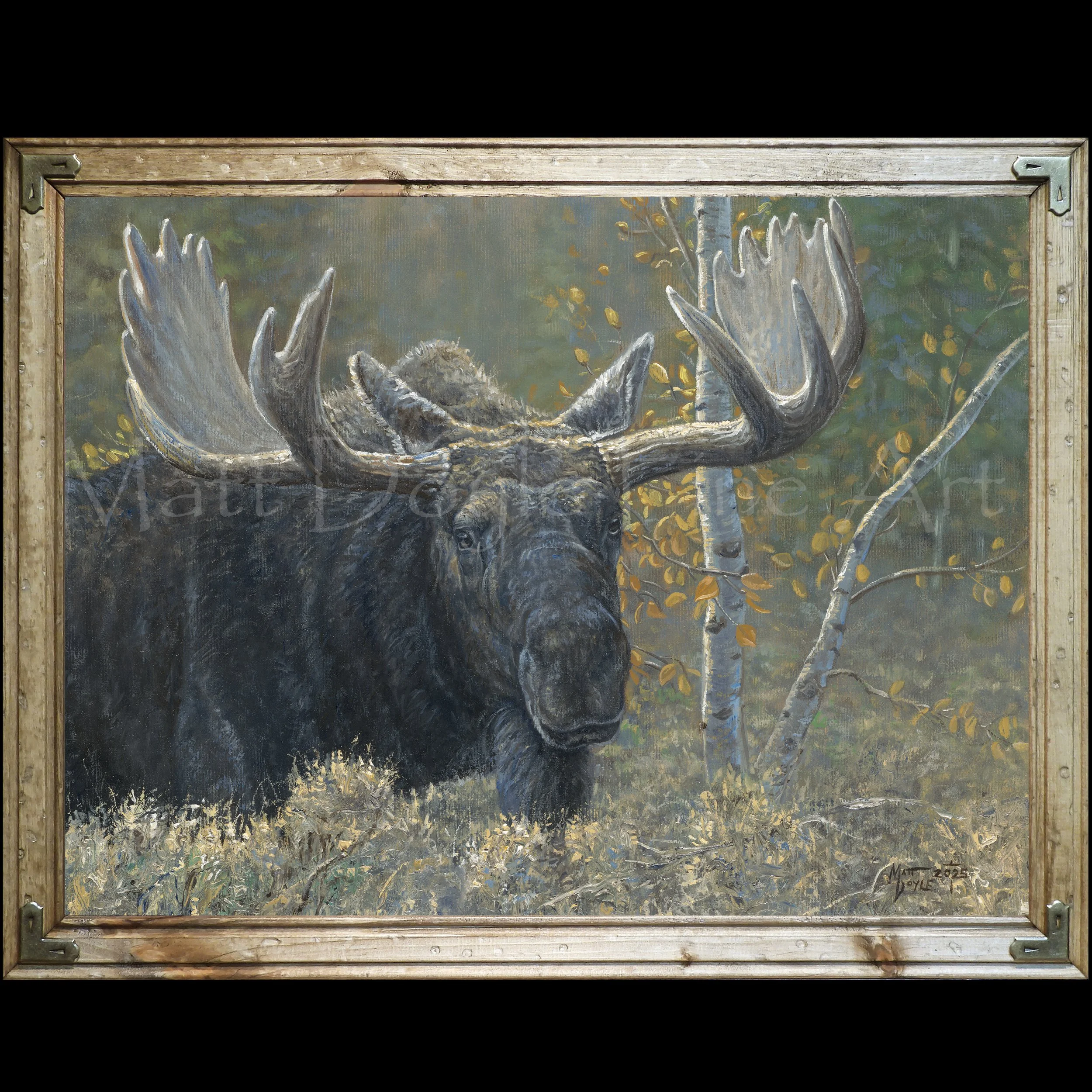 Solitary Approach Framed.jpg