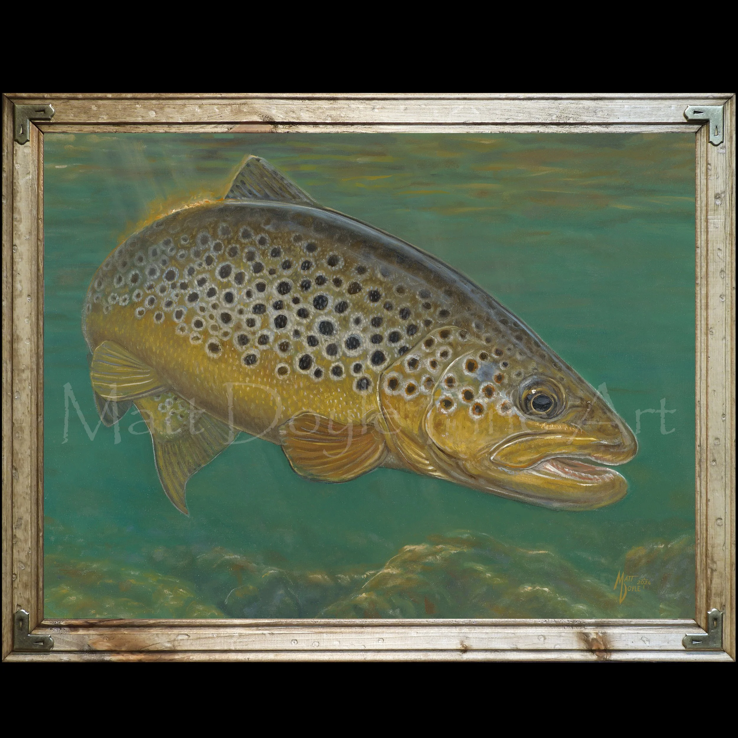 BrownTrout Framed.jpg (Copy)