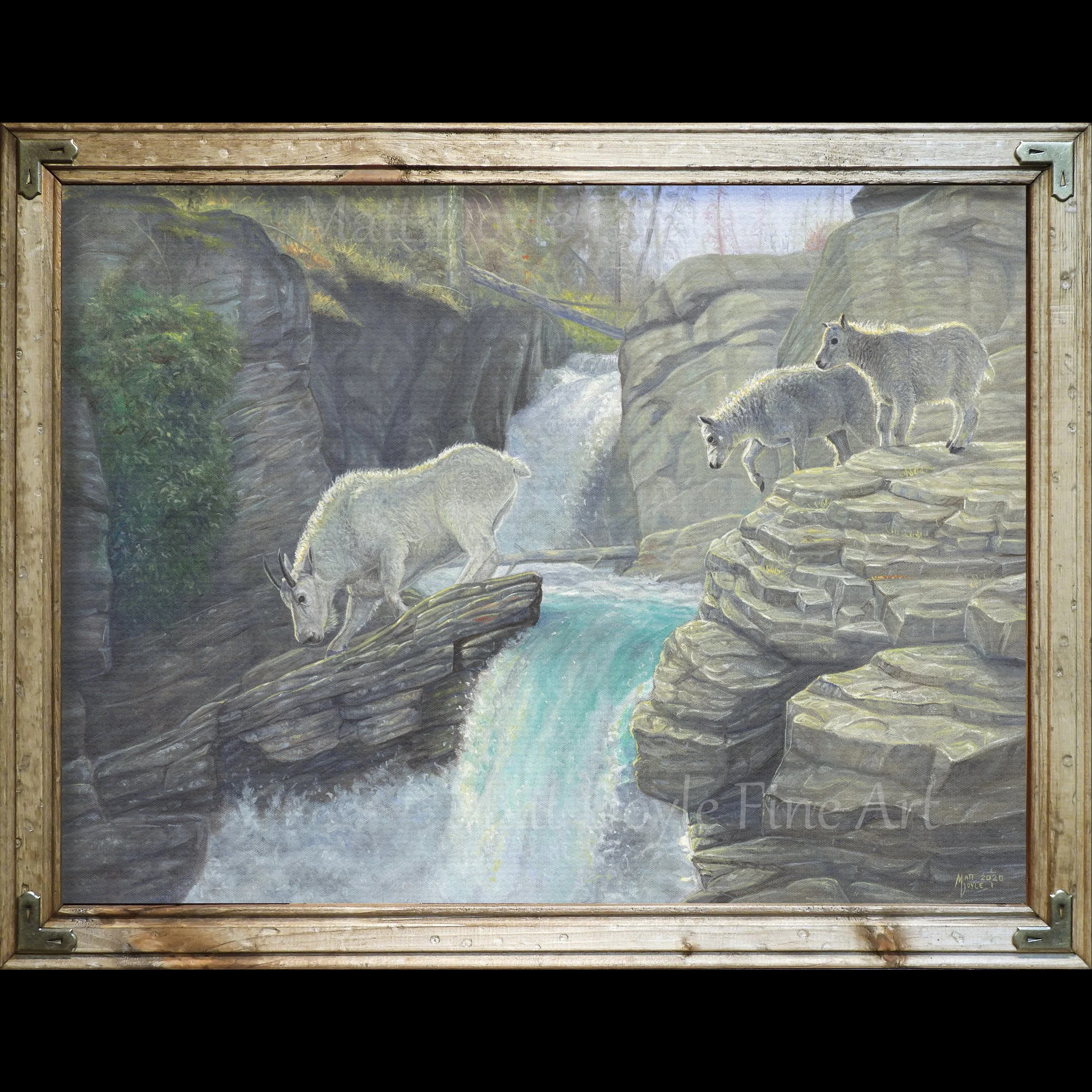 leap of faith framed web.jpg