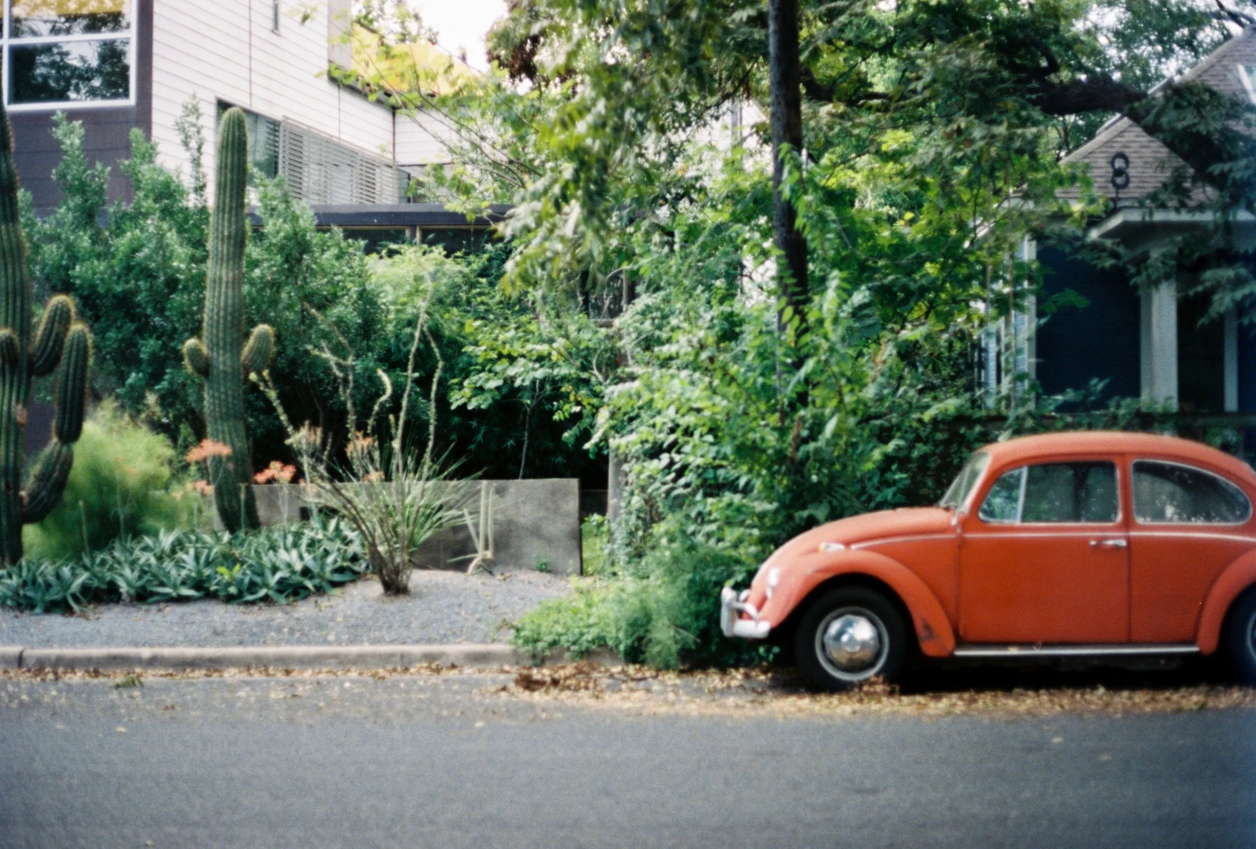 austin car blur.jpg