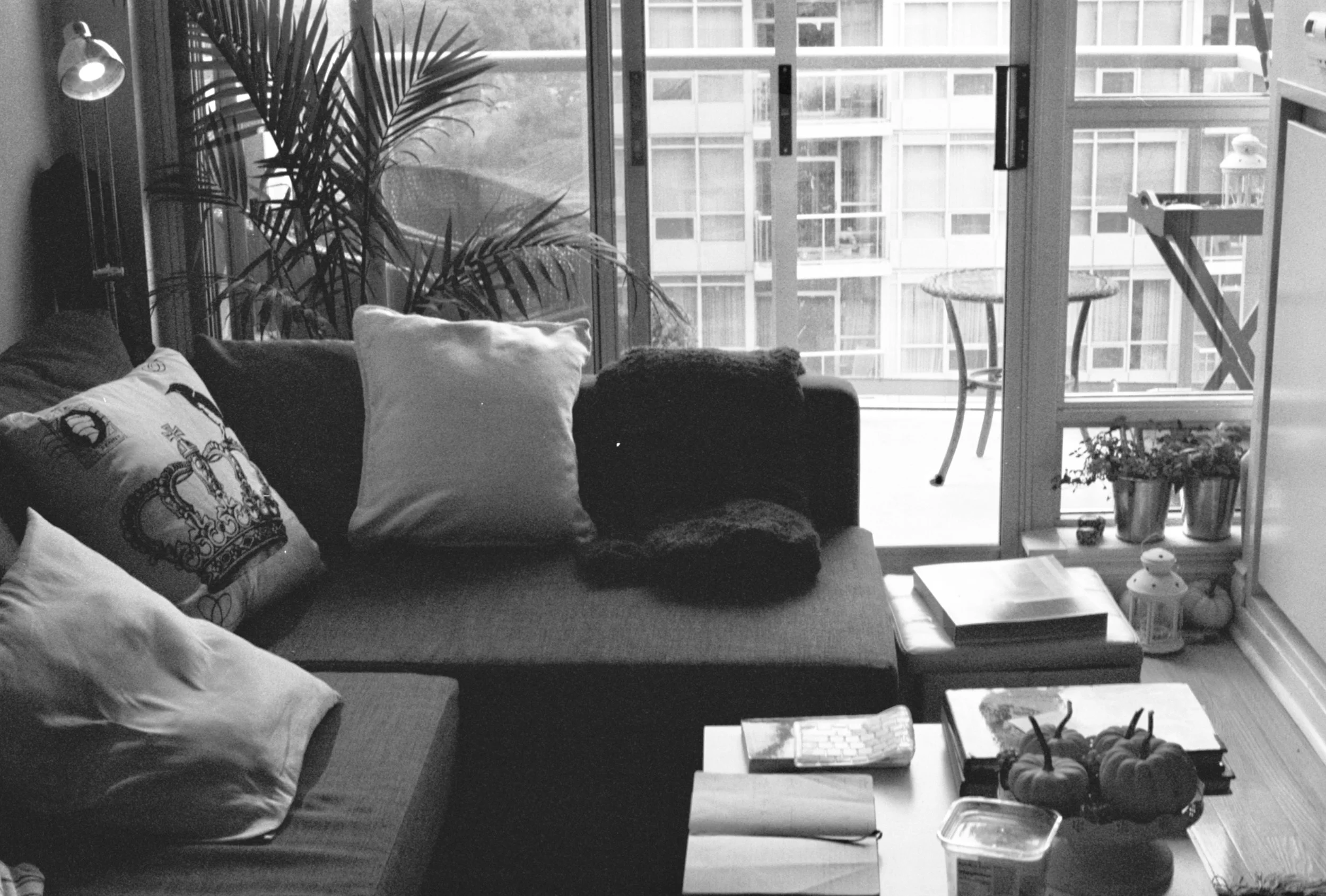 living room bw.jpg