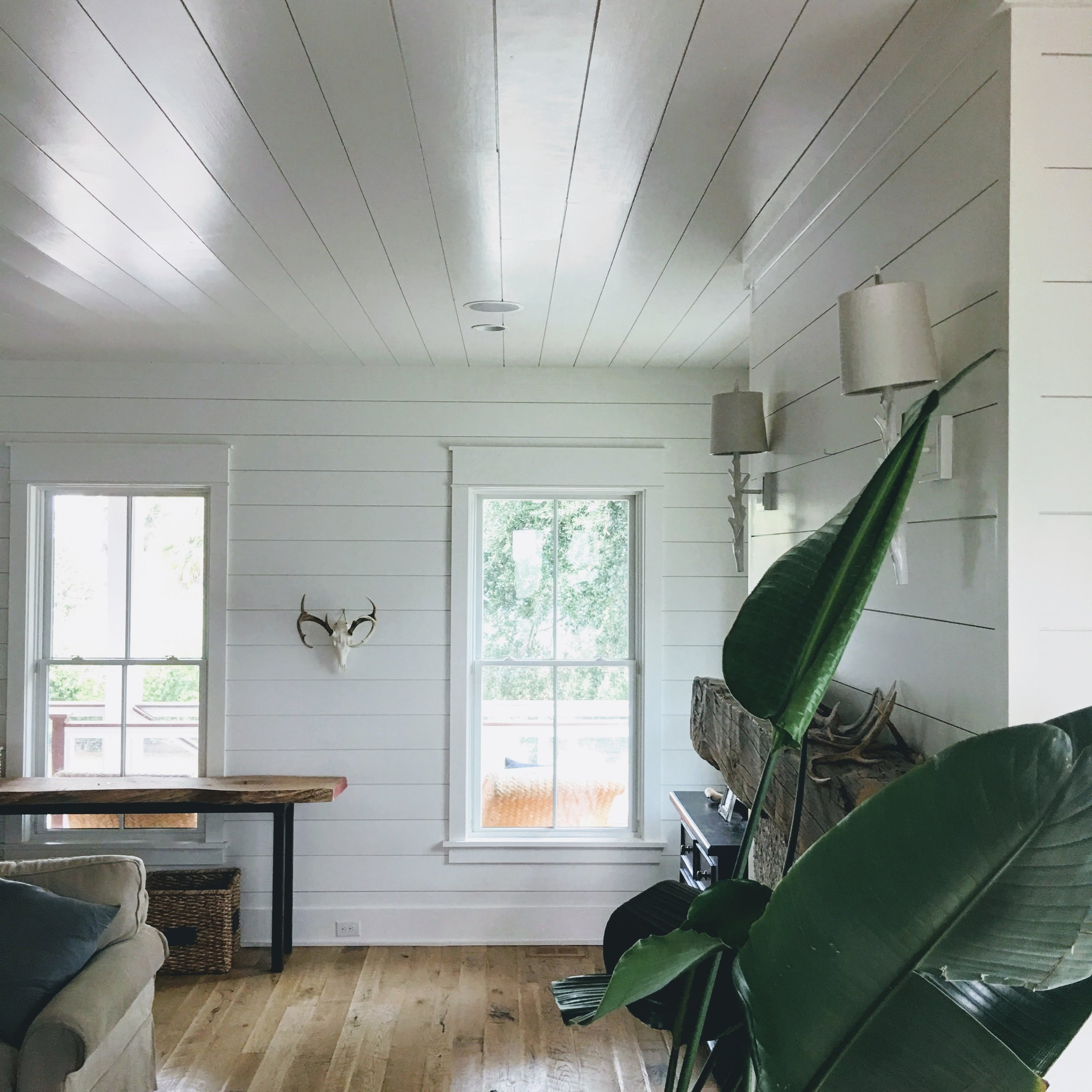 SHIPLAPelliottceiling&wall.JPG