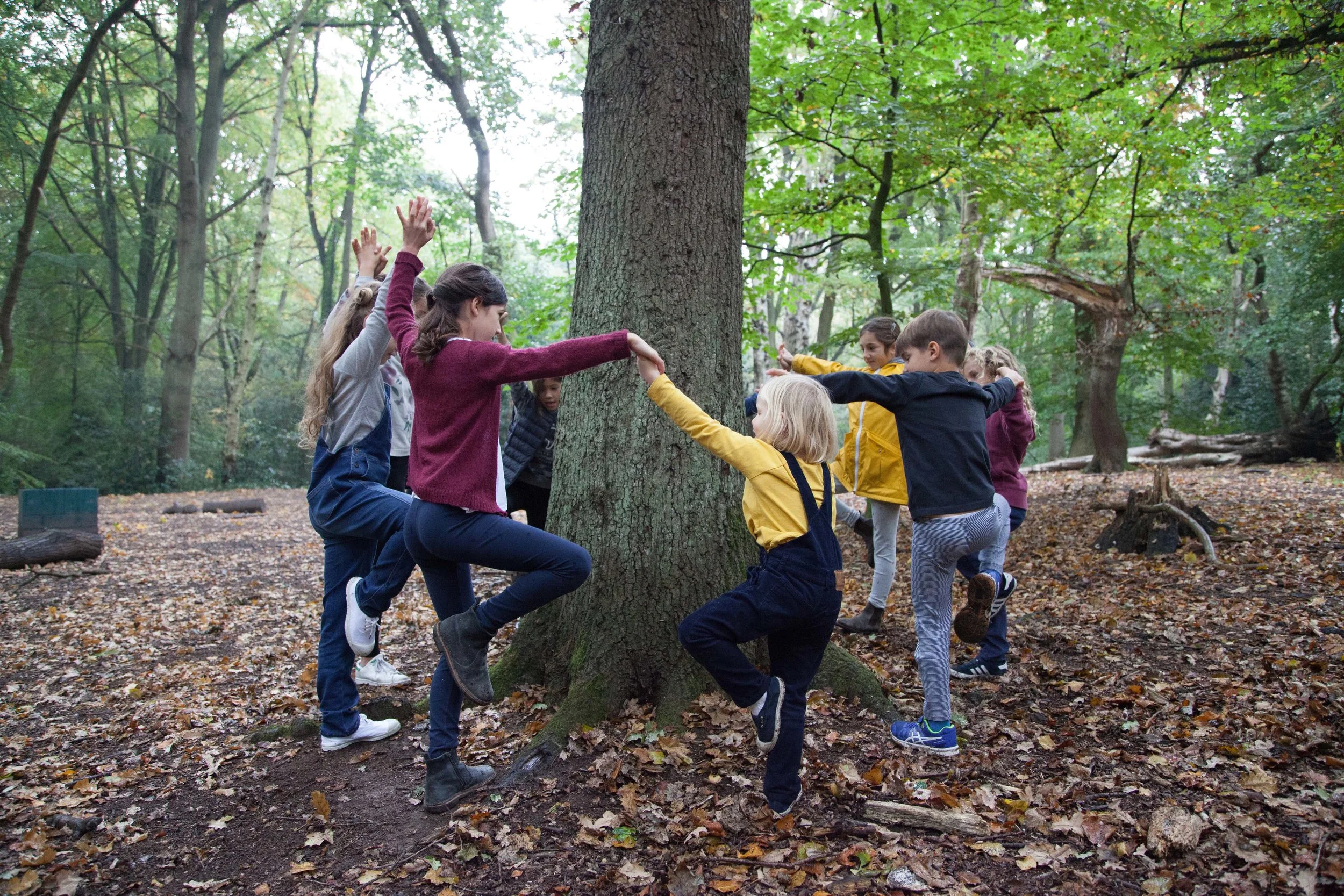 Tree Woods 1.jpg