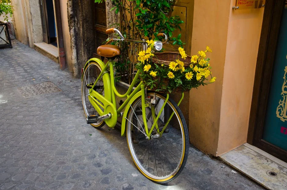 bicycle with flowers pexels.jpeg