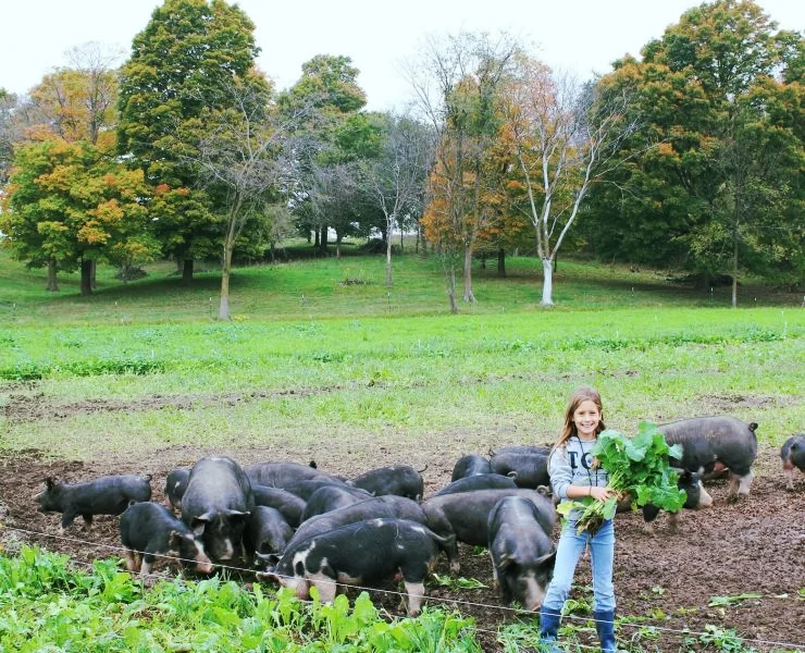 Golden Bear Farm girl.jpg