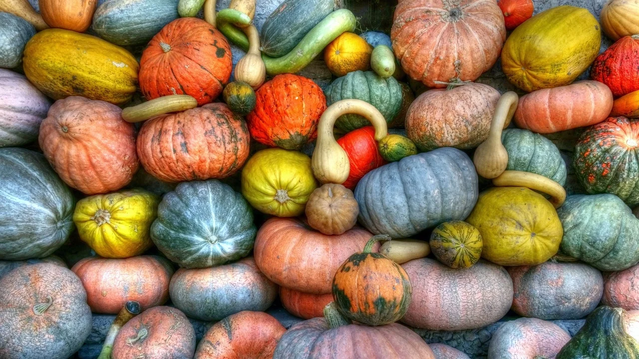 Winter Squash Guide