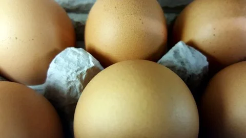 Wholesome Harvest Brown Eggs.jpg